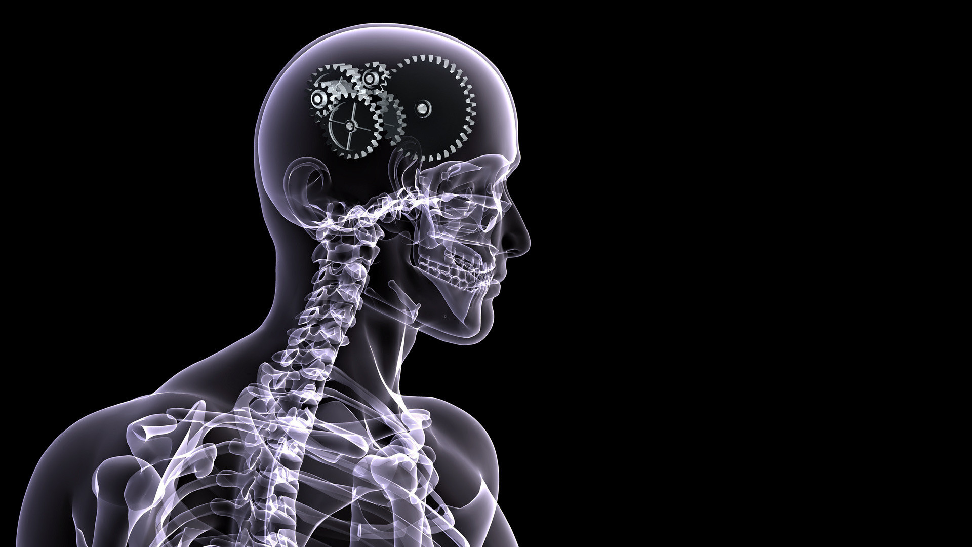1920x1080  Fotografie - X-ray Man Brain Skelett Wallpaper