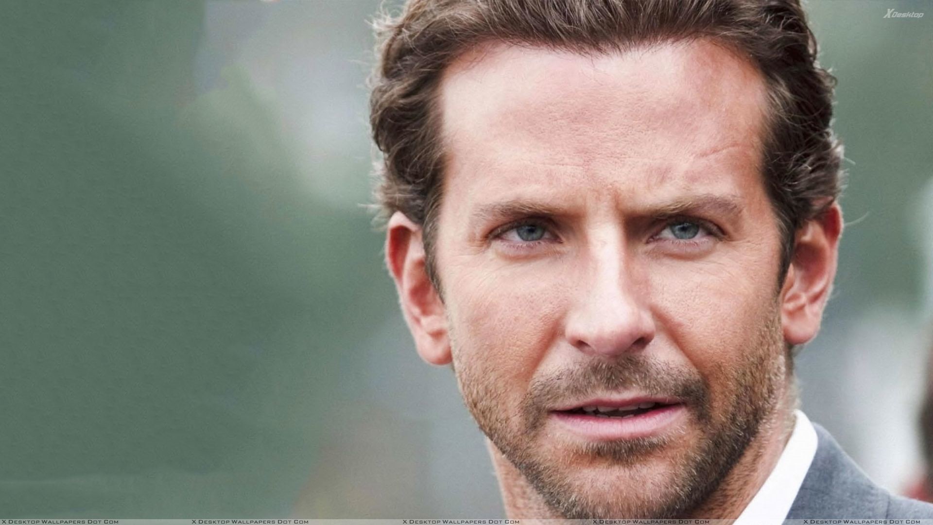 1920x1080 You are viewing wallpaper titled "Bradley Cooper ...