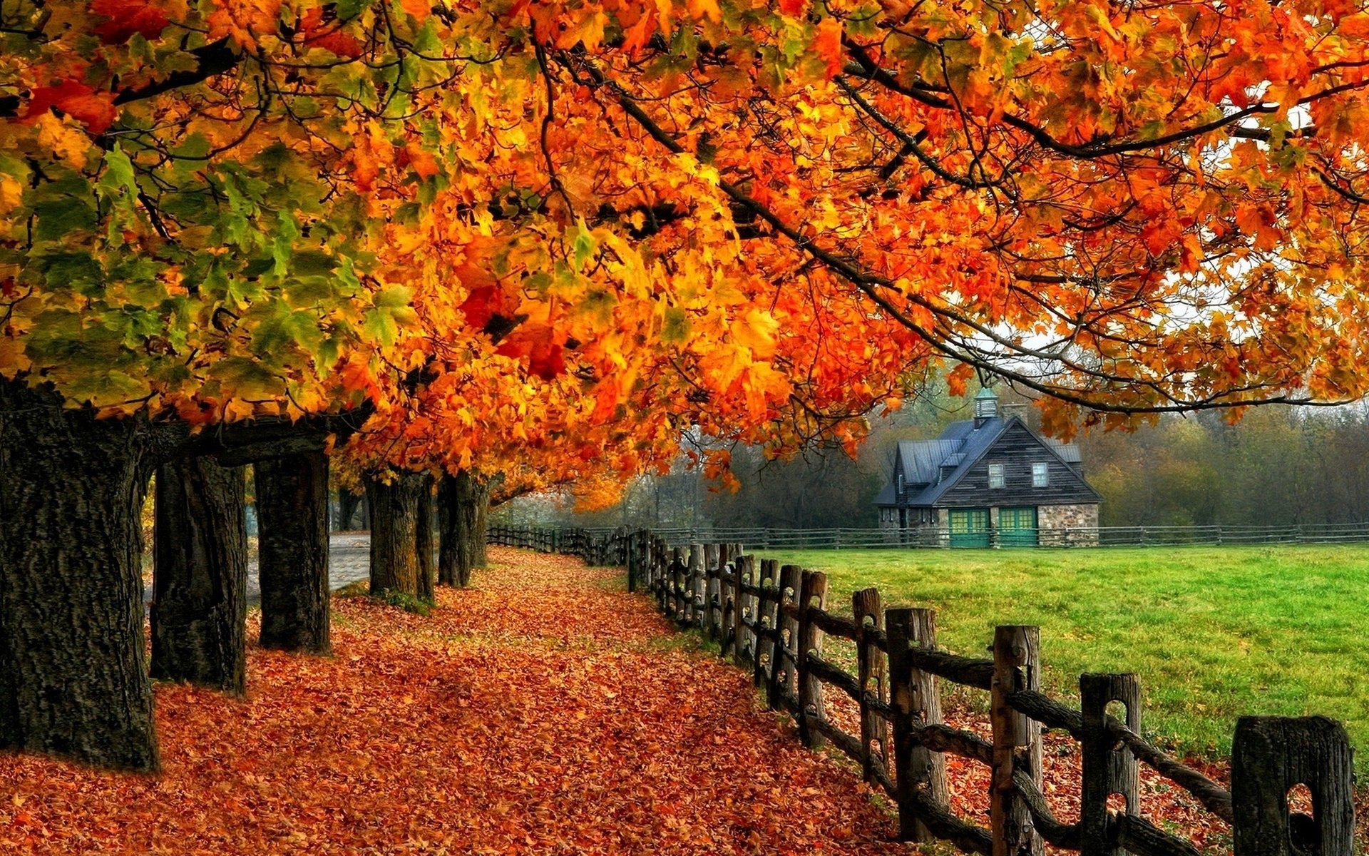 1920x1200 autumn-fall-tree-house-fenc Autumn Wallpaper Examples for Your Desktop  Background