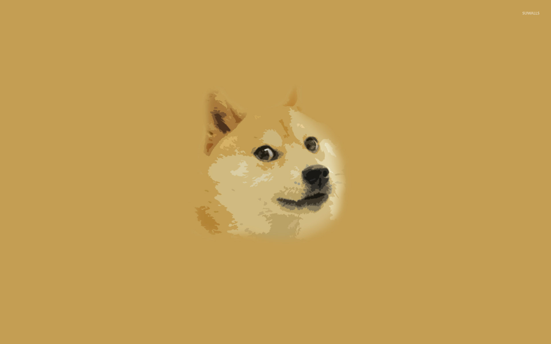 1920x1200 Doge [5] wallpaper  jpg