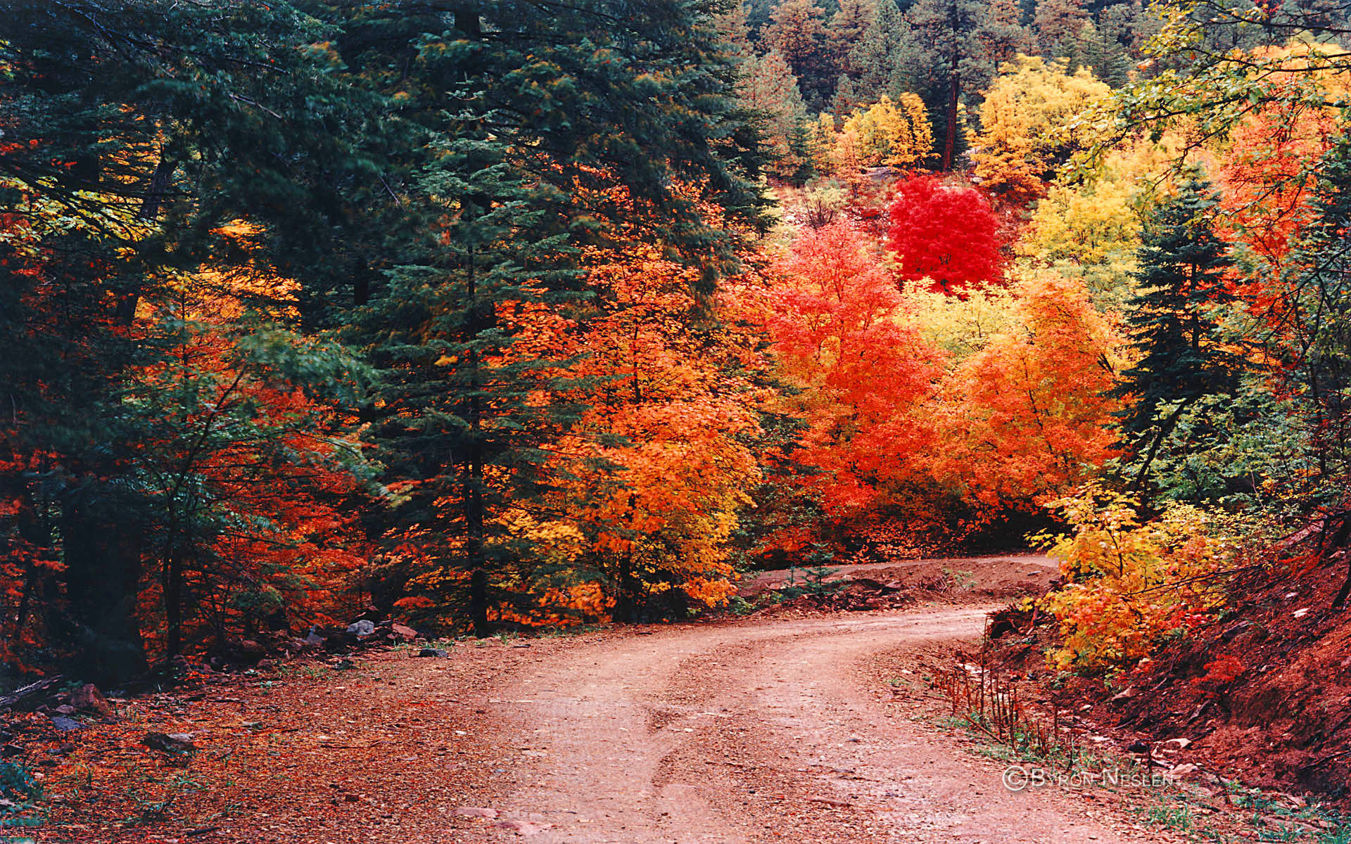 1920x1200 Autumn Mountain Wallpapers Photo with HD Wallpaper Resolution  px  861.65 KB Landscape Nature Pumpkin Desktop