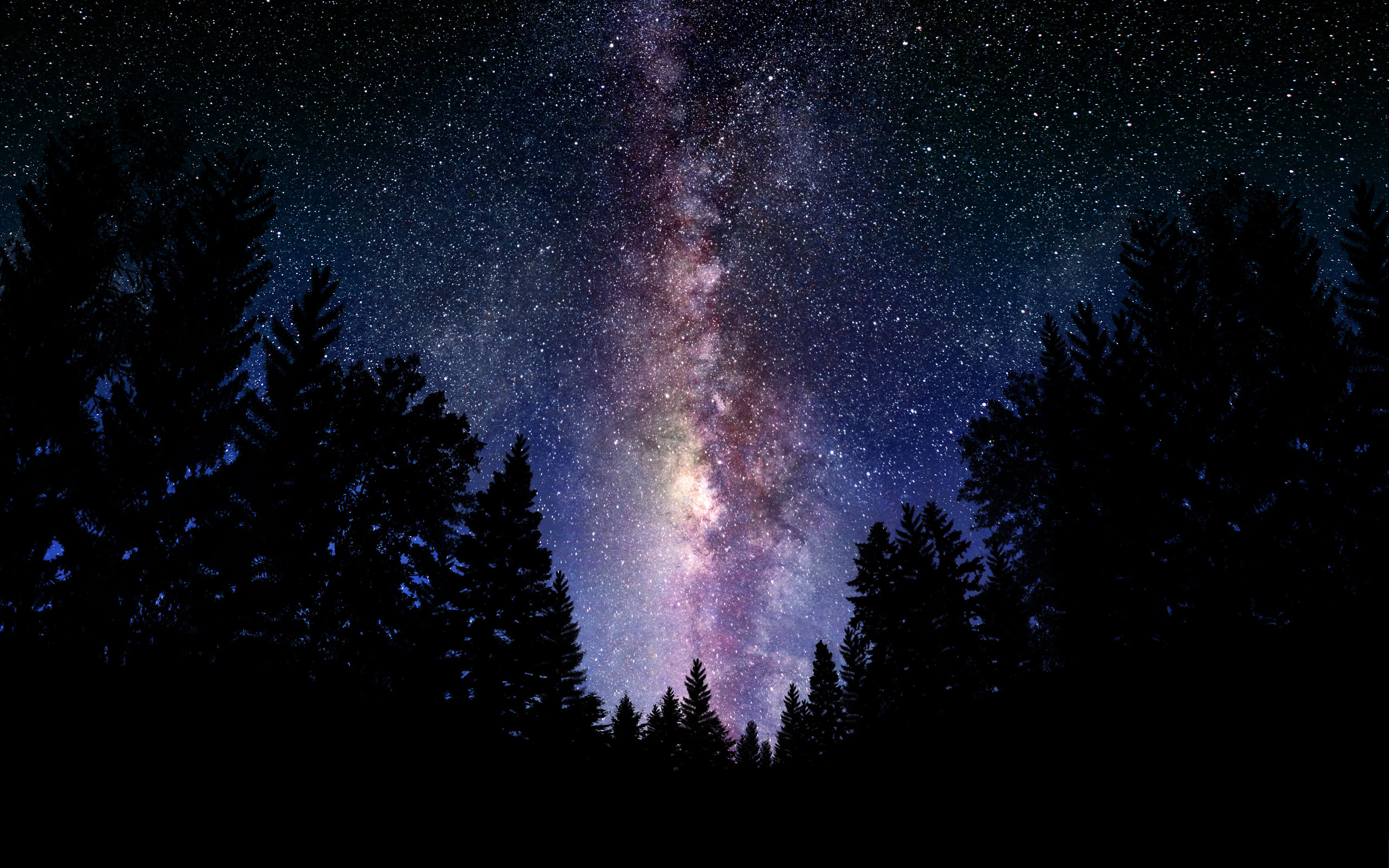 2560x1600 wallpaper Starry Night sky over the forest. Wallpapers 3d for desktop .