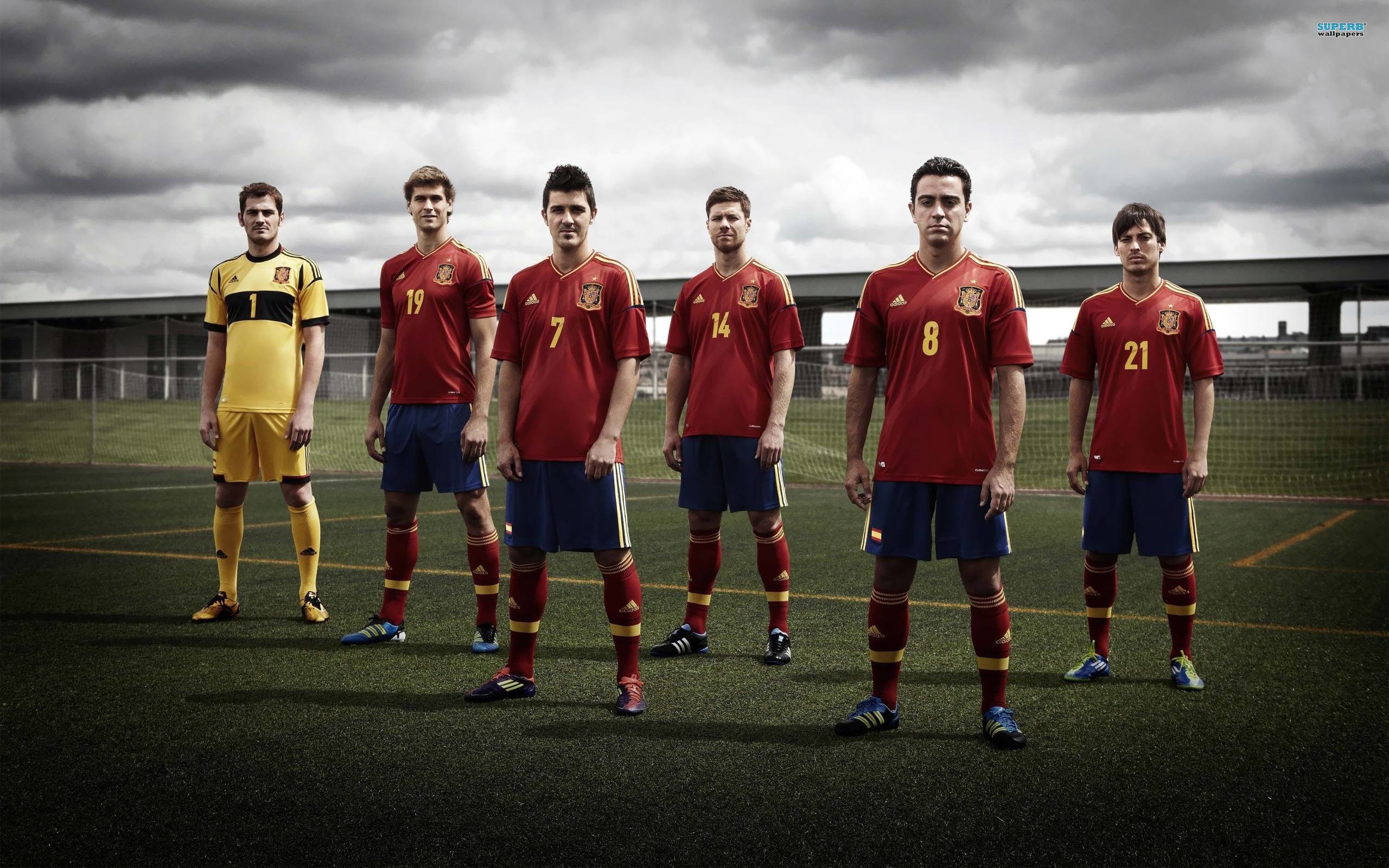 2560x1600 Spain national football team 2012 wallpaper - Sport wallpapers - #