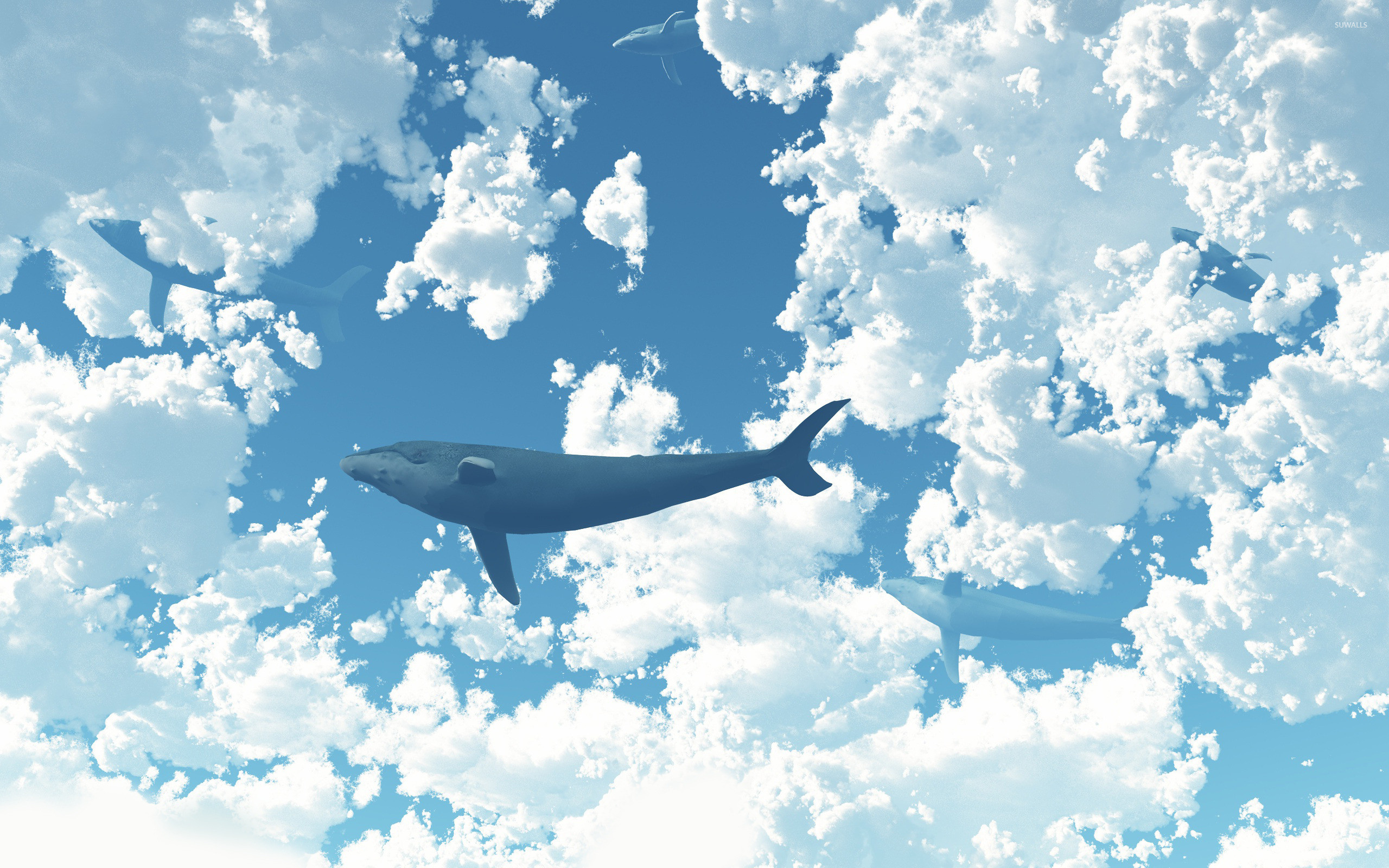 2560x1600 Whale in the sky [2] wallpaper