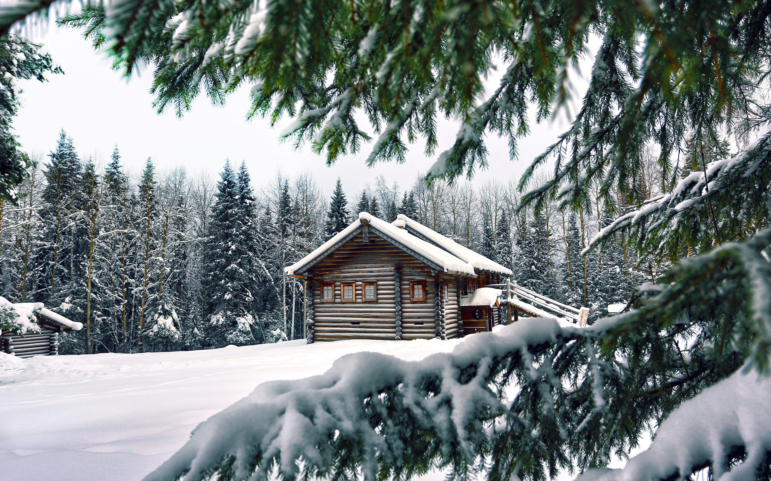 2560x1600 Snow Winter House Pine Needles Wallpaper  340x220