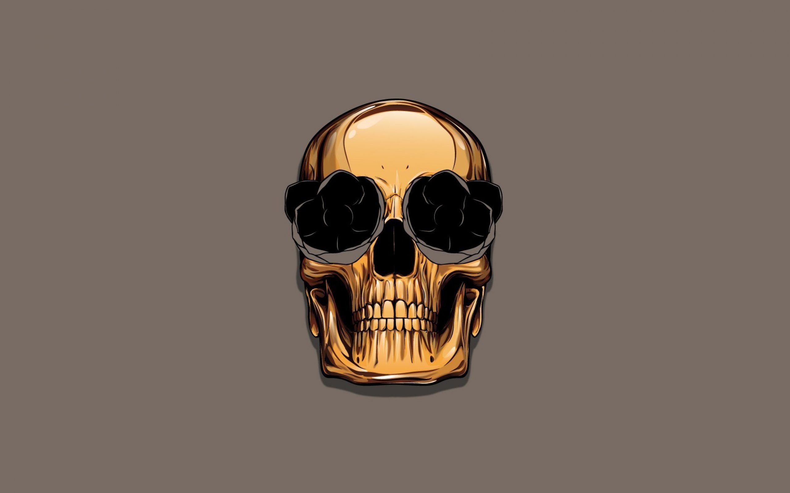 2560x1600  Skull Wallpapers HD, Desktop Backgrounds 