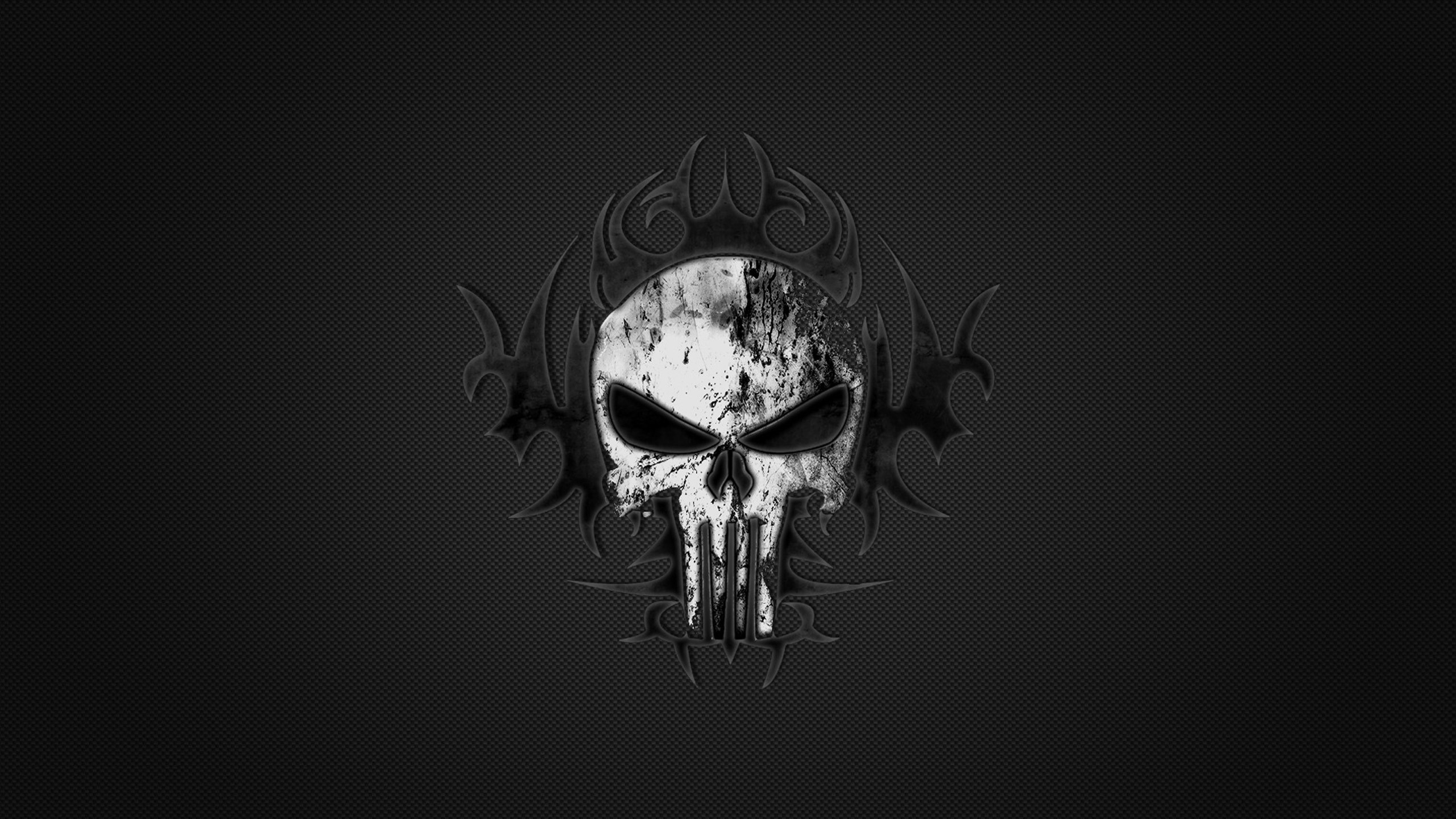 2560x1440 Punisher Skull Logo Wallpaper