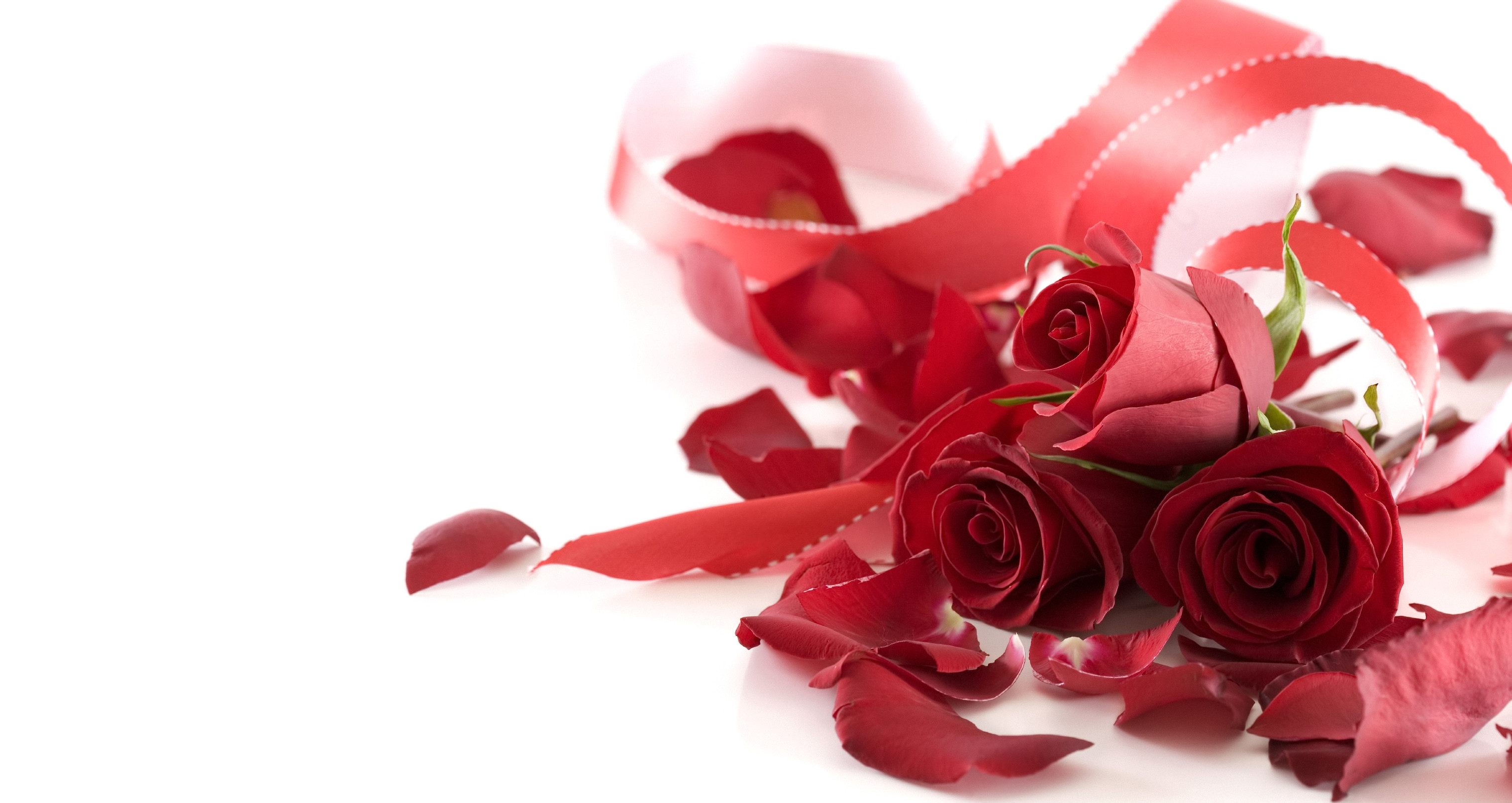 3039x1613 Red Flowers for Wedding HD Wallpaper