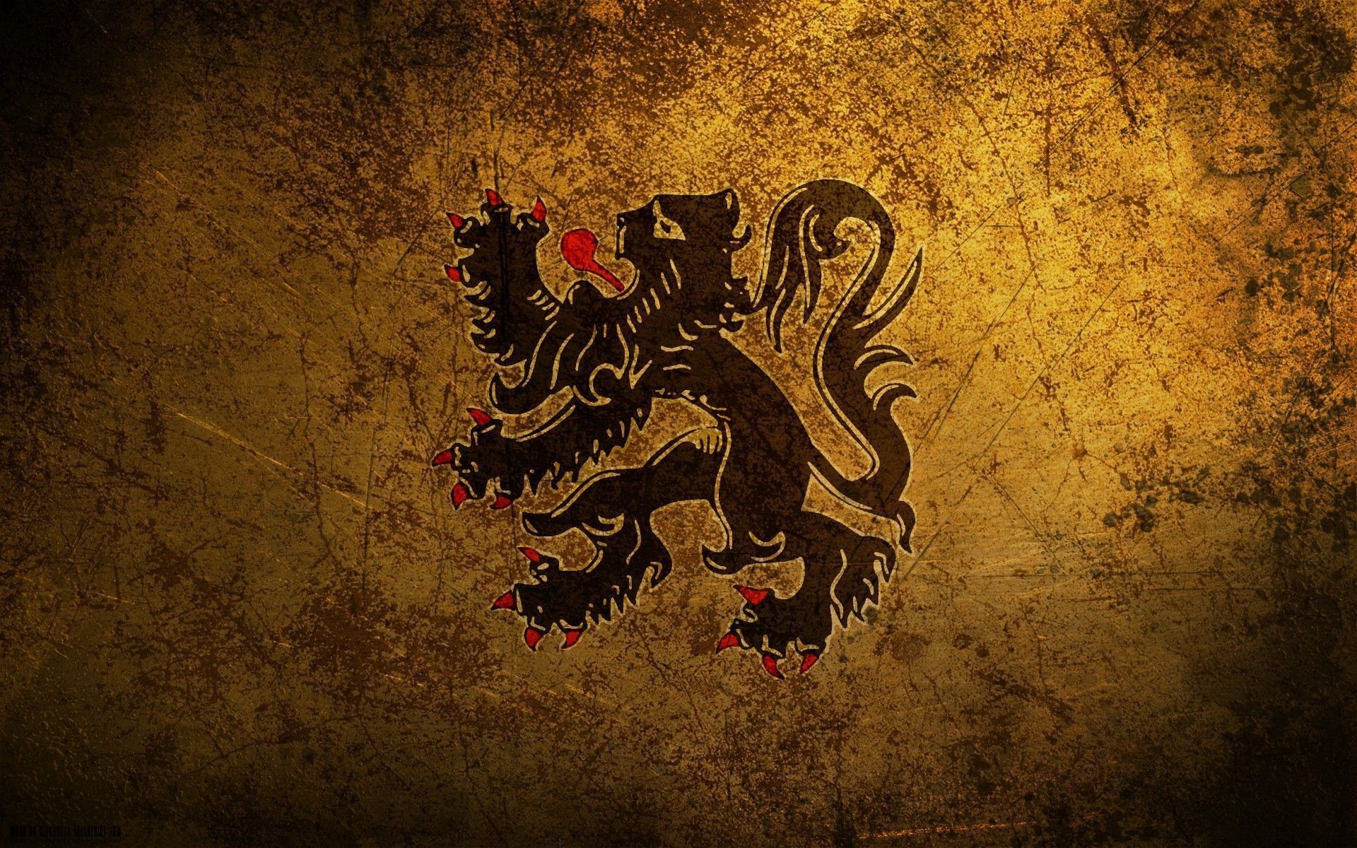 1920x1200 hd lion wallpapers GRS12