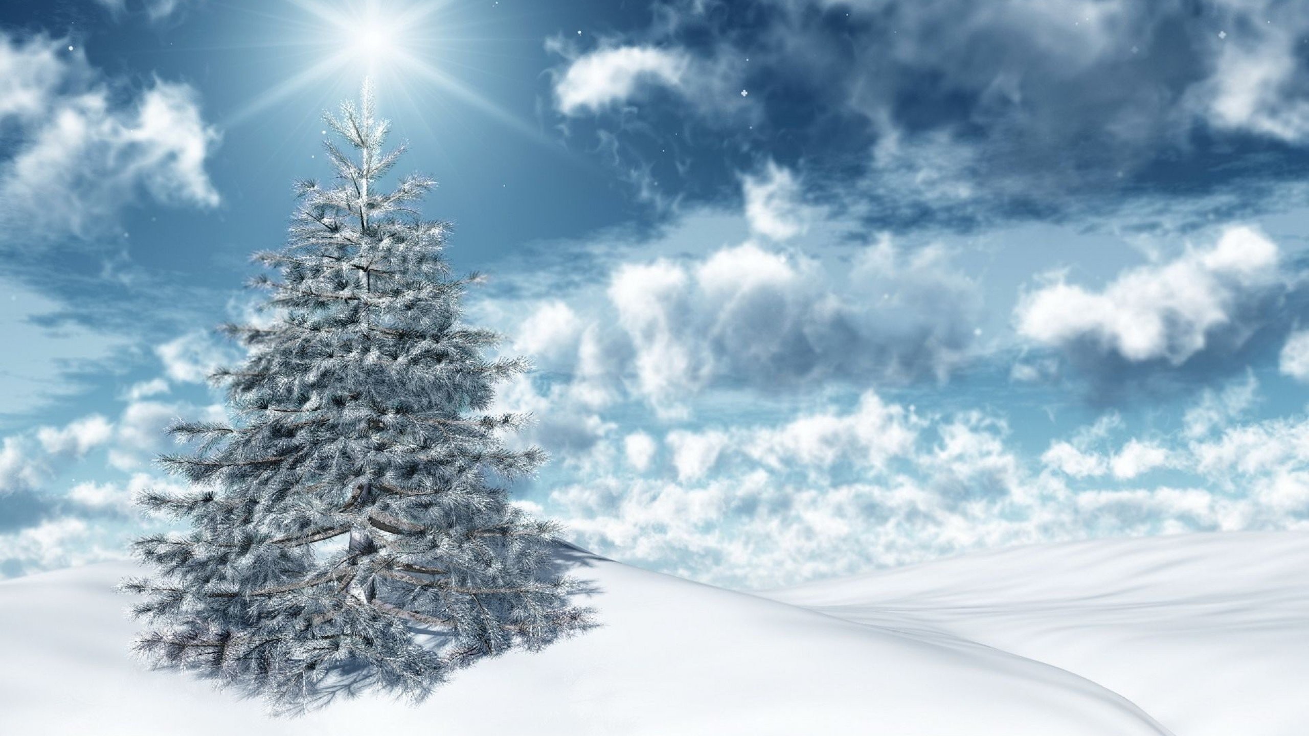 2560x1440 Winter Cards Greeting Snow Spruce Holidays ...