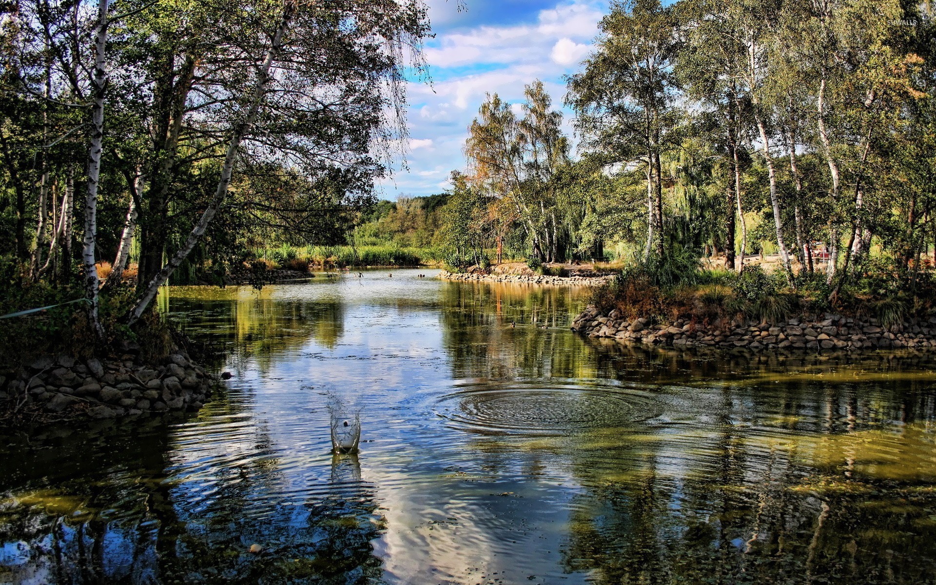 1920x1200 Pond in a park wallpaper