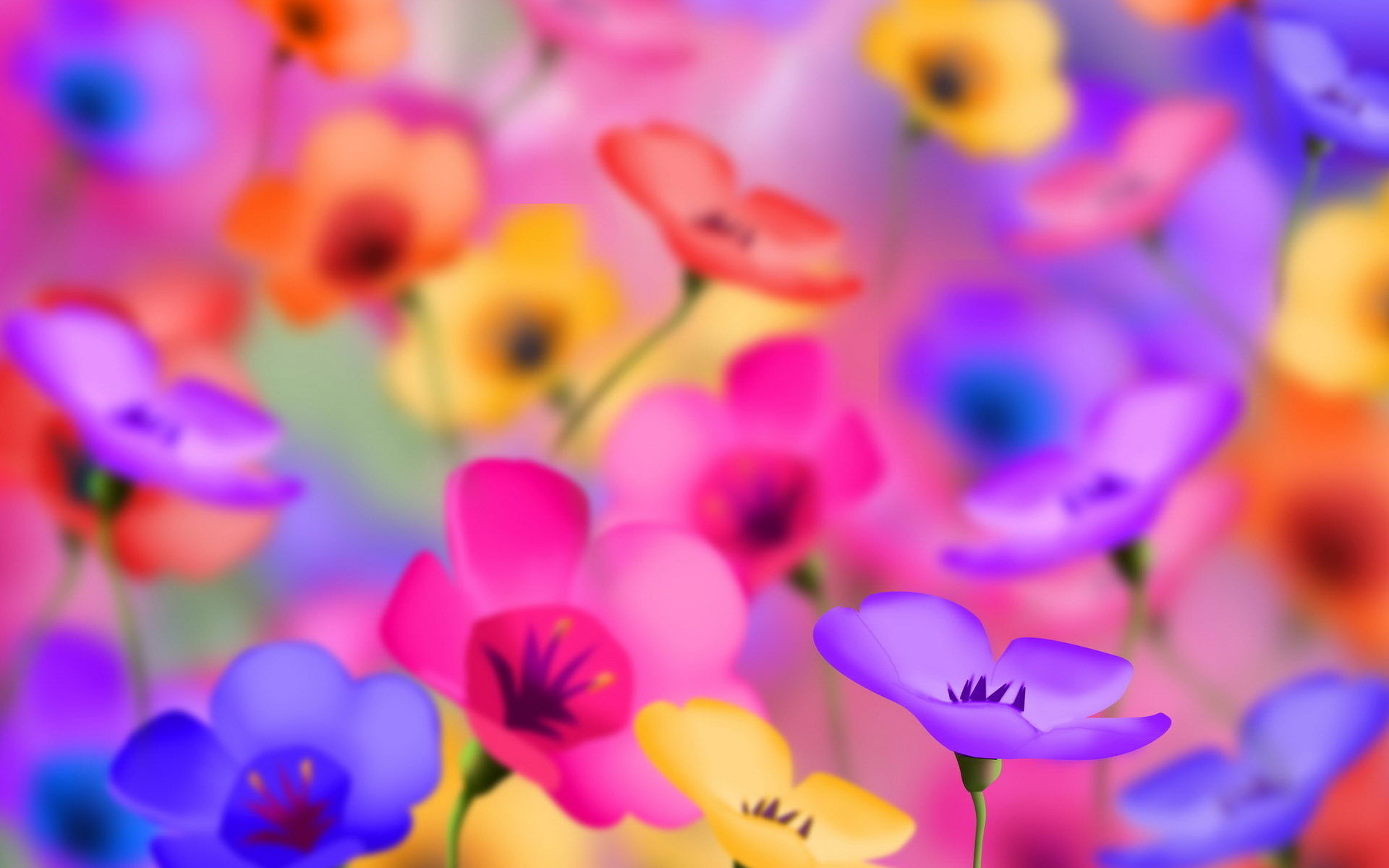 1920x1200 Bright Flowers