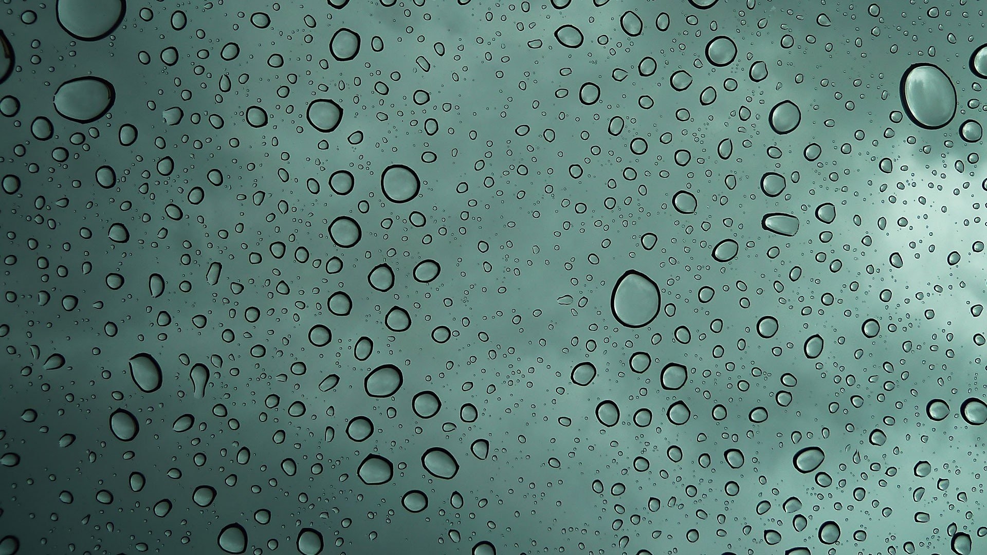 1920x1080 Raindrops Tag - Water Condensation Drops Raindrops Green Nature Desktop  Background for HD 16:9