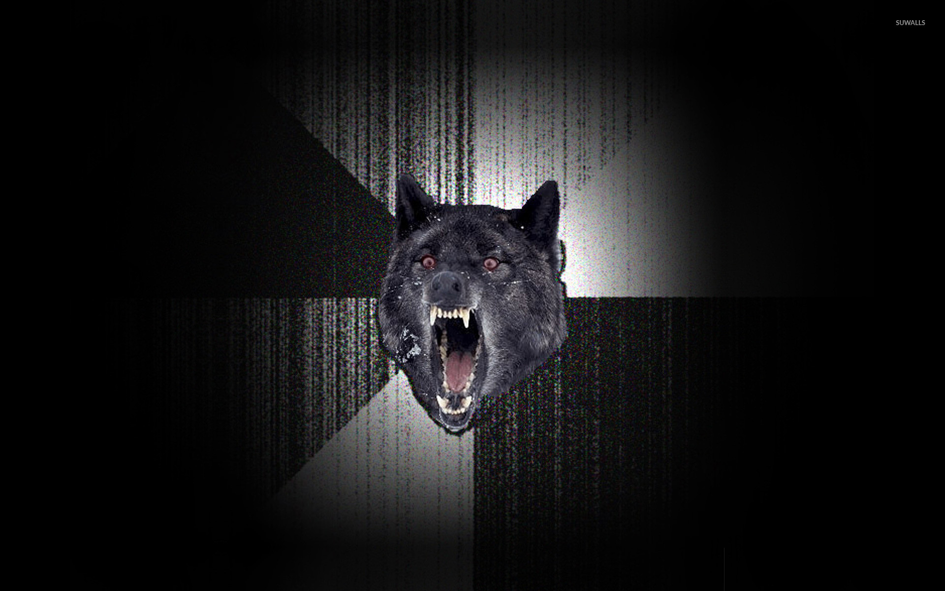1920x1200 Insanity Wolf wallpaper
