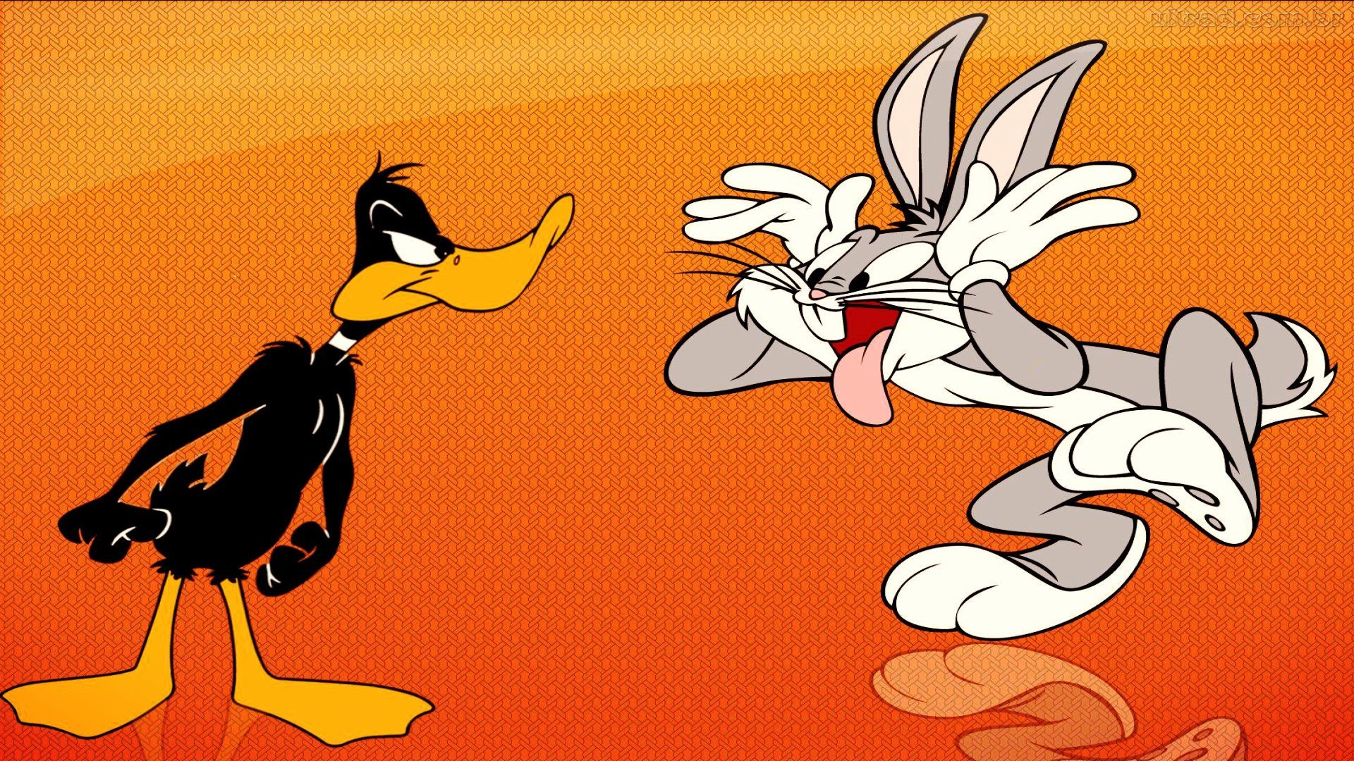 1920x1080 Looney Tunes Funny Wallpaper - Wallpaper, High Definition, High .
