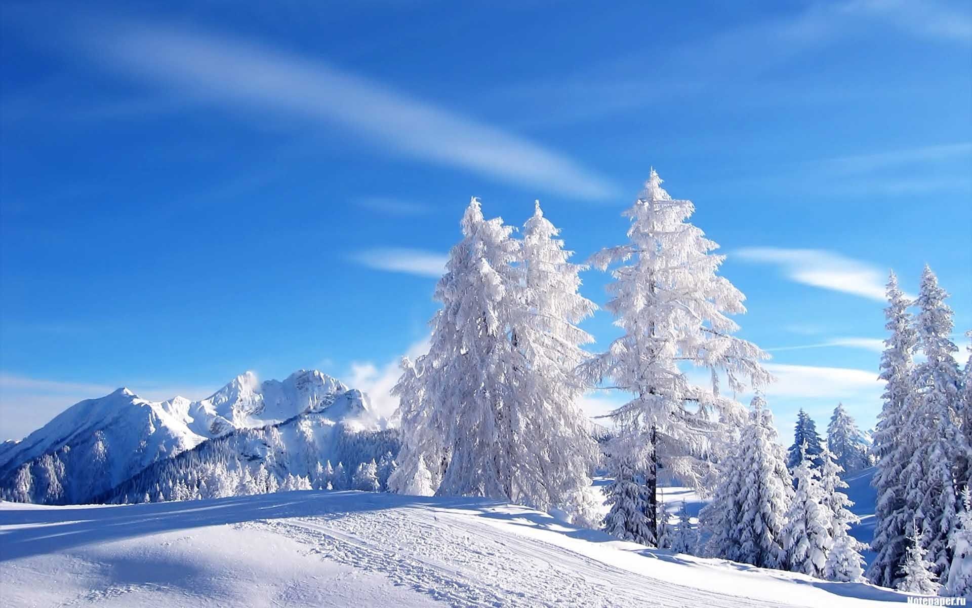1920x1200 snow scenes photography | Snow Scenes Desktop Wallpapers in HD