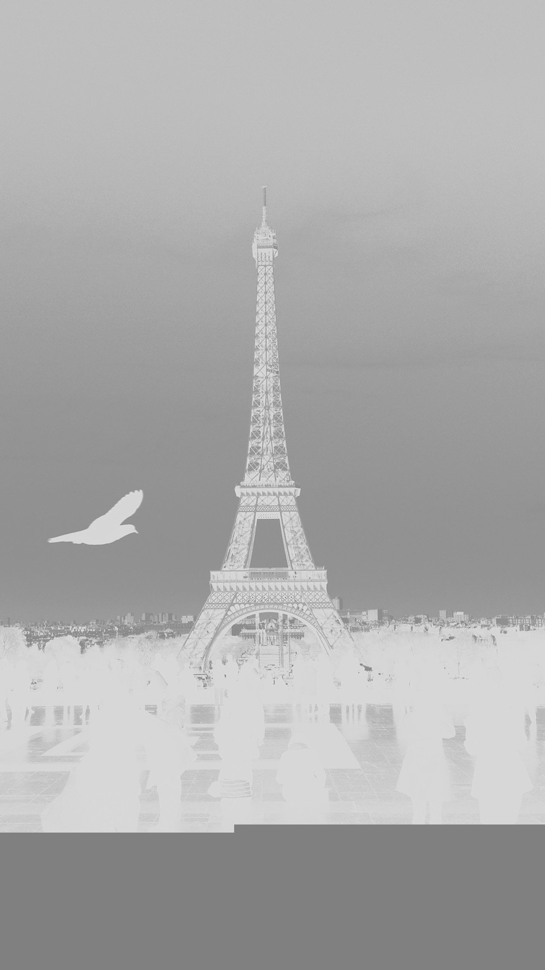 1080x1920 Paris Eiffel Tower Tour Dark Bird France White iPhone 8 wallpaper
