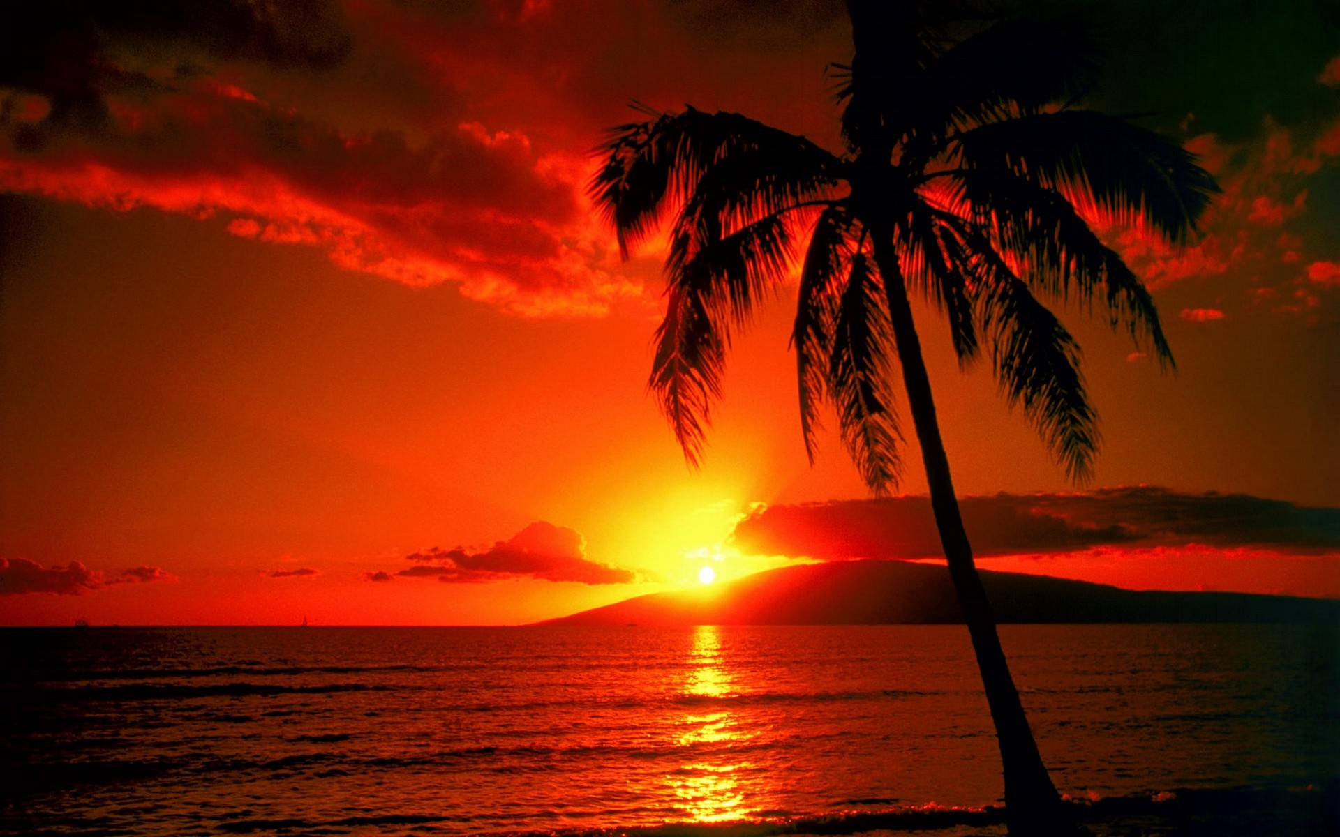 1920x1200 Erde/Natur - Sonnenuntergang Erde/Natur Himmel Tropisch Tropics Palme  Orange Silhouette Ozean Wolke