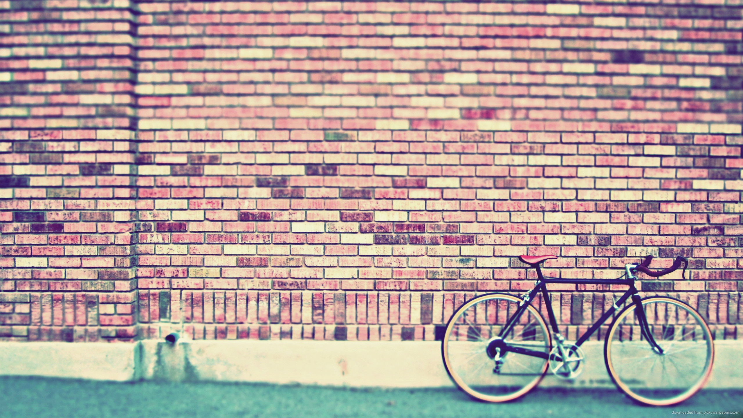 2560x1440  Fixed Gear Bike By The Wall for 