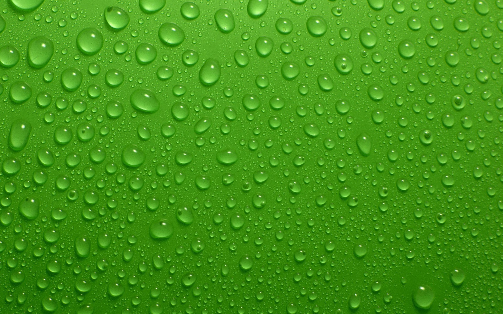 1920x1200 Green Water Wallpaper 17321