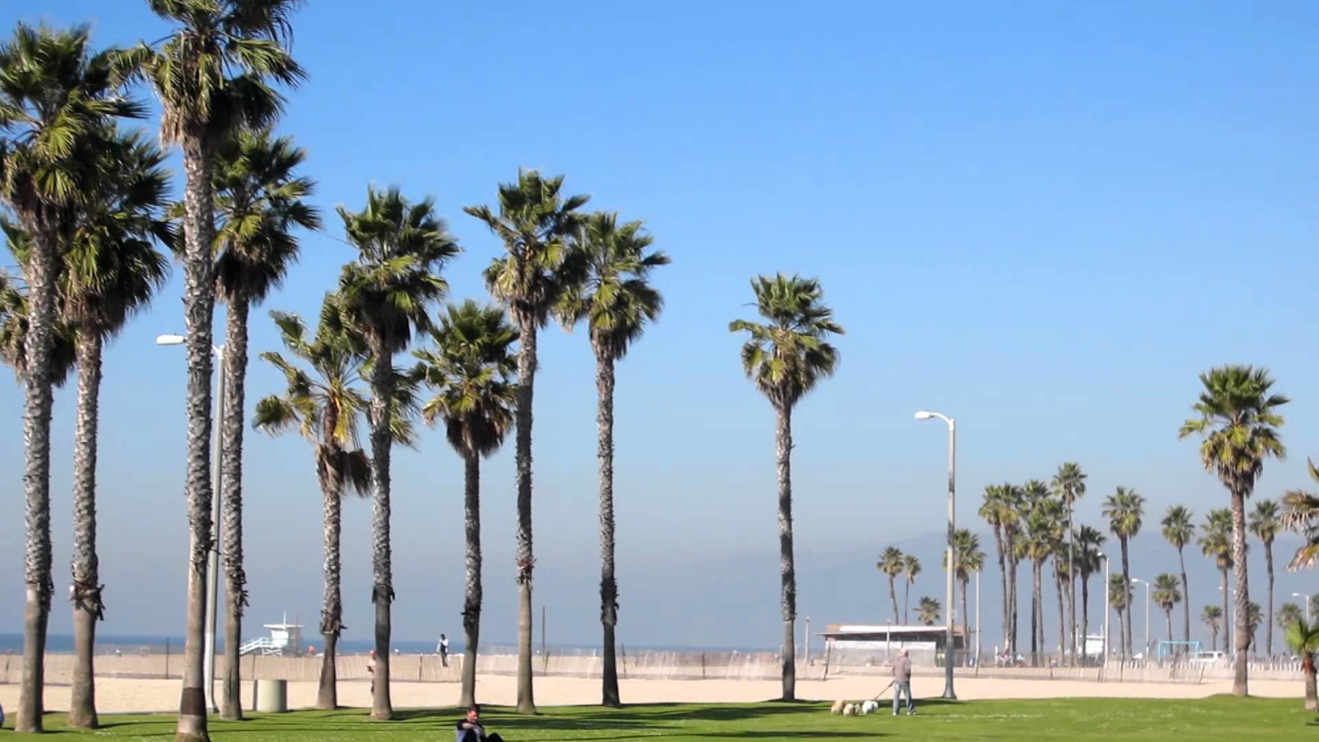 Калифорния Лос Анджелес пляж Санта Моника