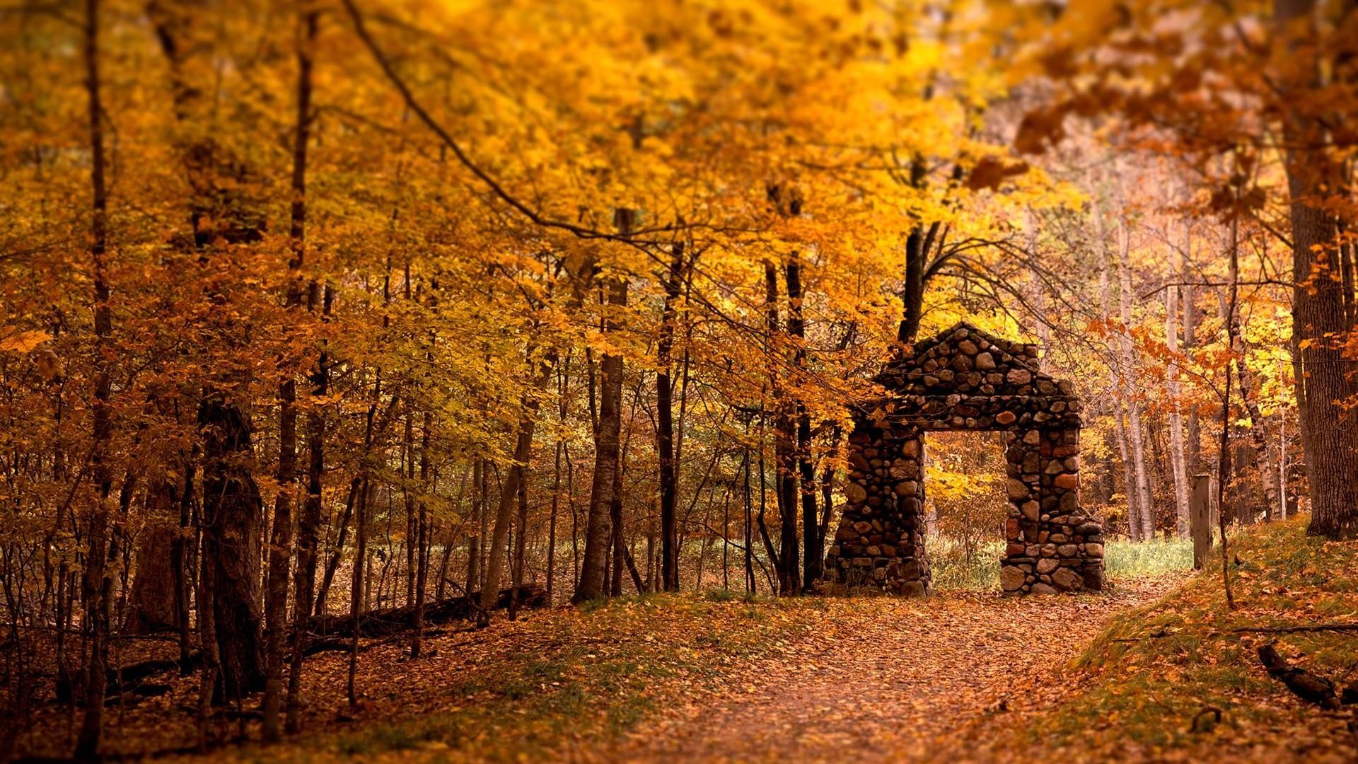 1920x1080  Autumn day and maple desktop backgrounds wide wallpapers:1280x800,1440x900,1680x1050  -