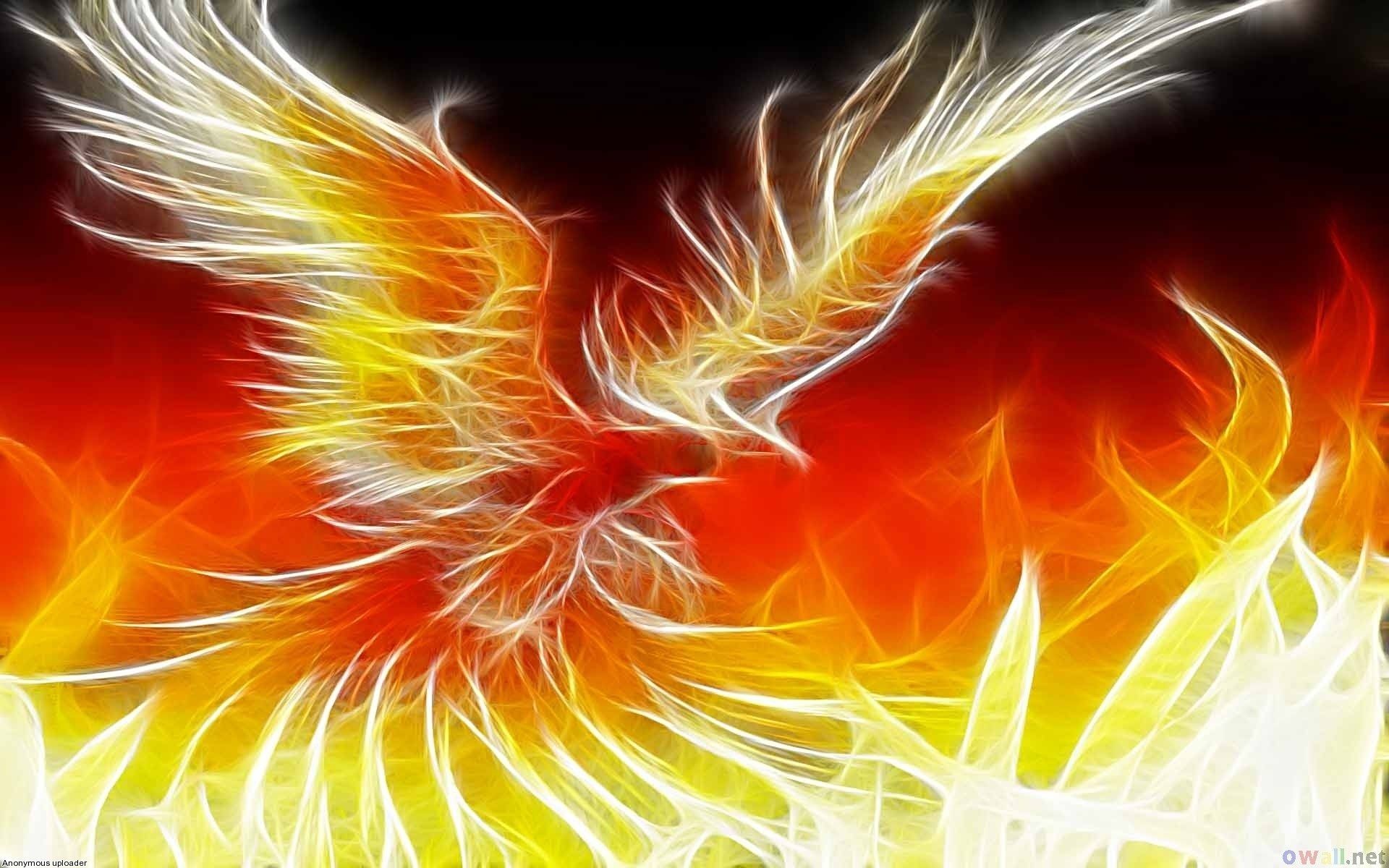1920x1200 Quality Cool phoenix picture,  (271 kB) Phoenix Wallpaper, Bird  Wallpaper,