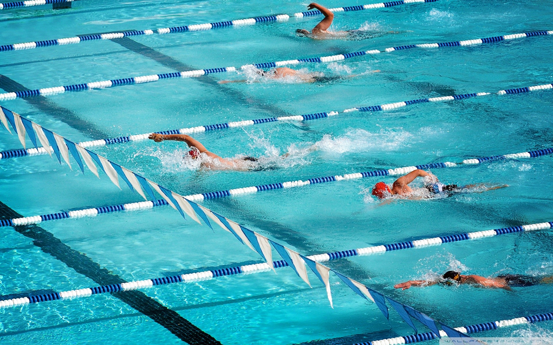 1920x1200 Olympic Swimming Pool wallpaper,Swimming hd Wallpaper For Desktop .