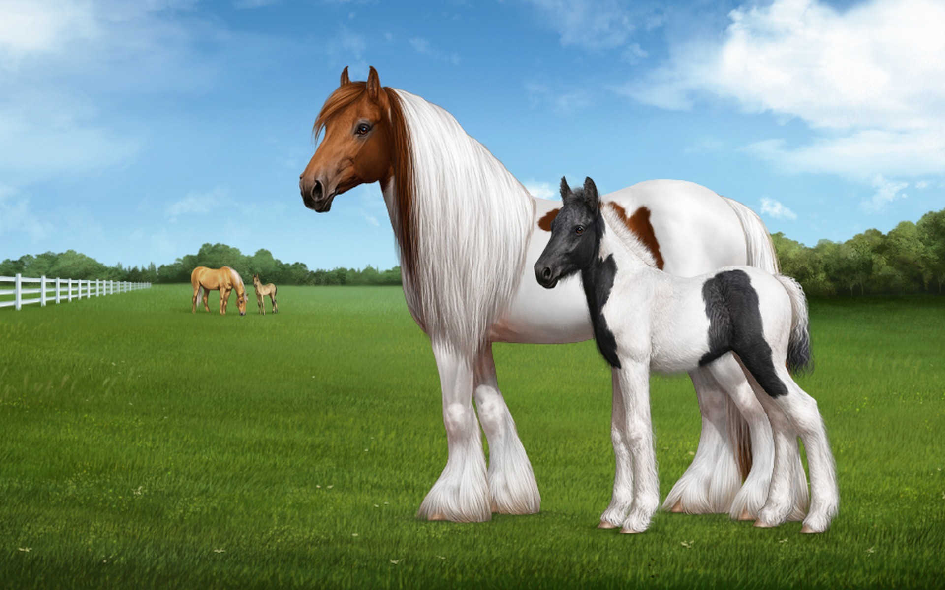 1920x1200 ... Horse Pictures Only | YouWall - White Horse Wallpaper - wallpaper .
