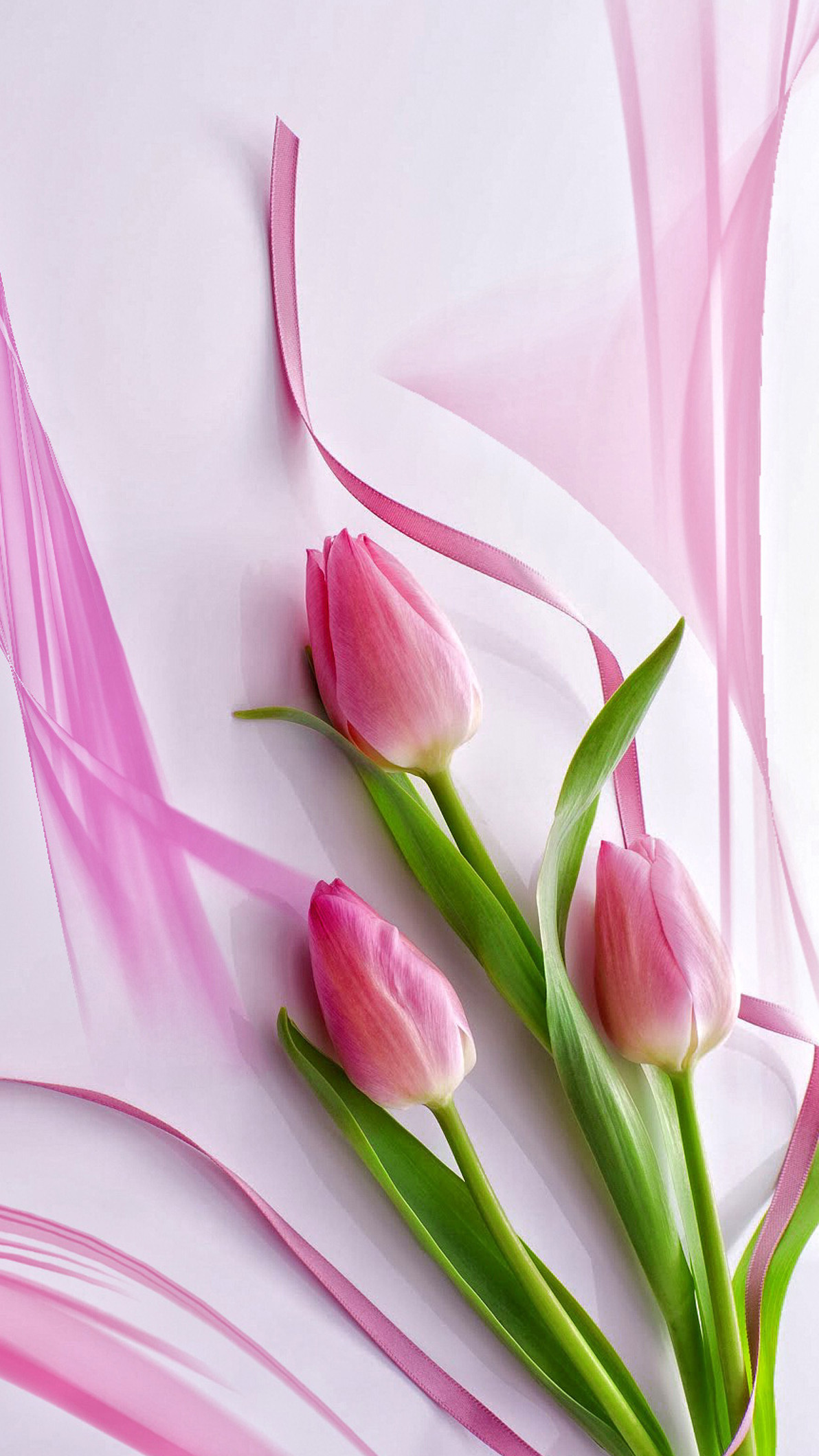 1192x2120 Cute Pink Tulips iPhone 6+ Wallpaper - http://helpyourselfimages.com/