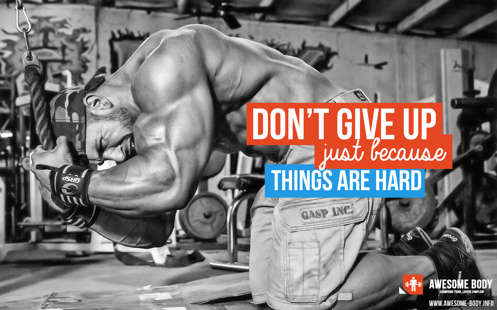 1920x1200 DON`T GIVE UP - JUST BECAUSE THINGS ARE HARD! Hard Work QuotesWork  MotivationBodybuilding ...
