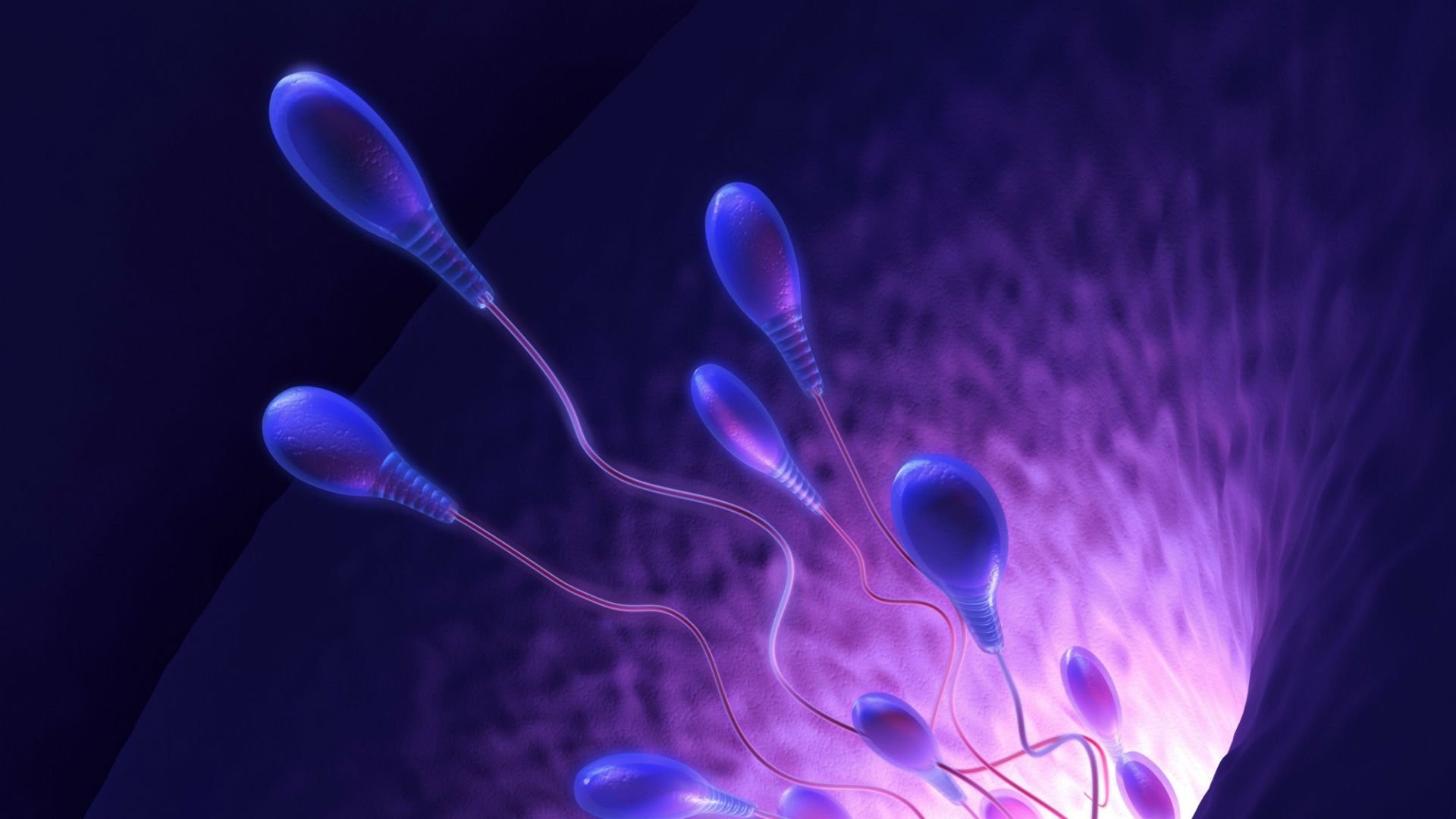 1920x1080 Sperm Abstraction Abstract Bokeh Life Sex Sexual Medical Dna Male Man Men  1sperm Mating Psychedelic Egg Cell Eggs Swim Swimming Vector Wallpaper At  3d ...
