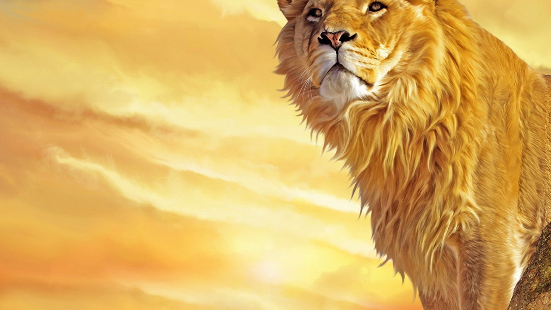 Lion wallpaper Stock Photos, Royalty Free Lion wallpaper Images |  Depositphotos