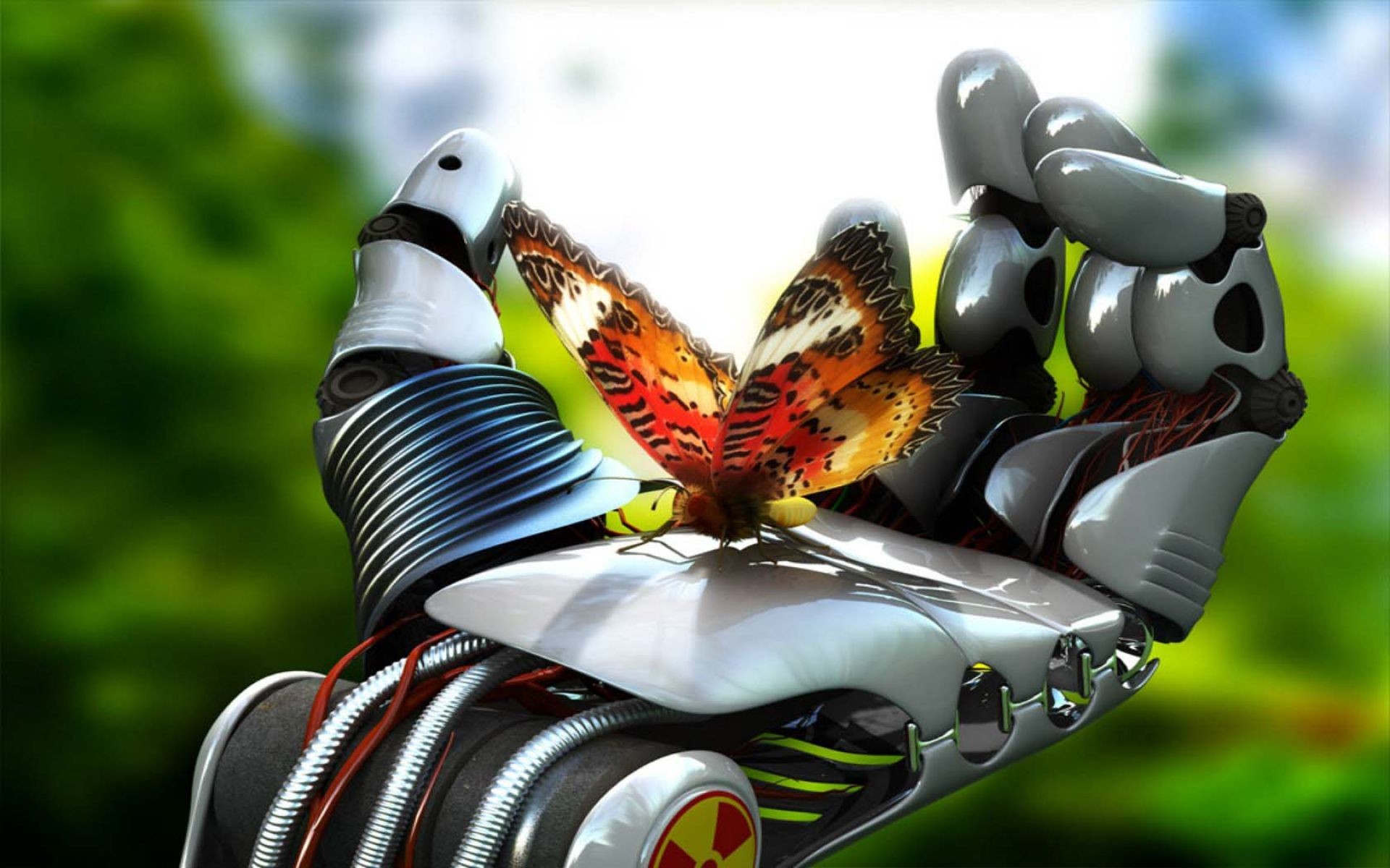 1920x1200 Beautiful 3D Butterfly In Hand | HD 3D and Abstract Wallpaper Free Download  ...