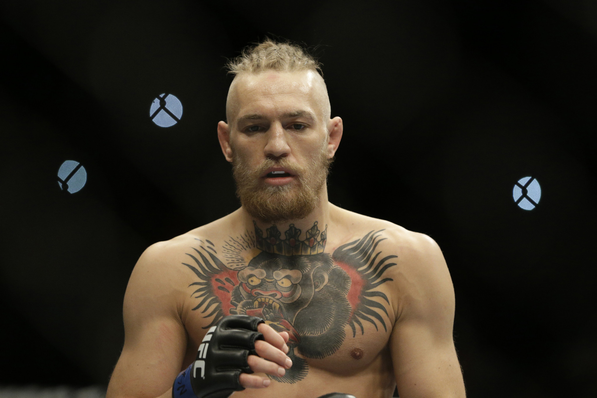 2048x1365 ... conor mcgregor hd wallpapers free download in high quality and ...