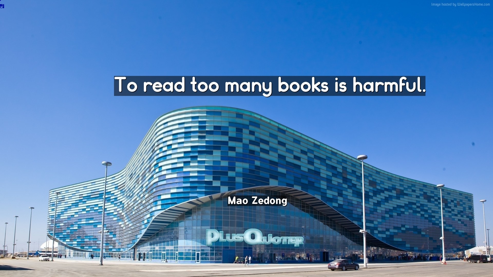 1920x1080 Download Wallpaper with inspirational Quotes- "To read too many books is  harmful."