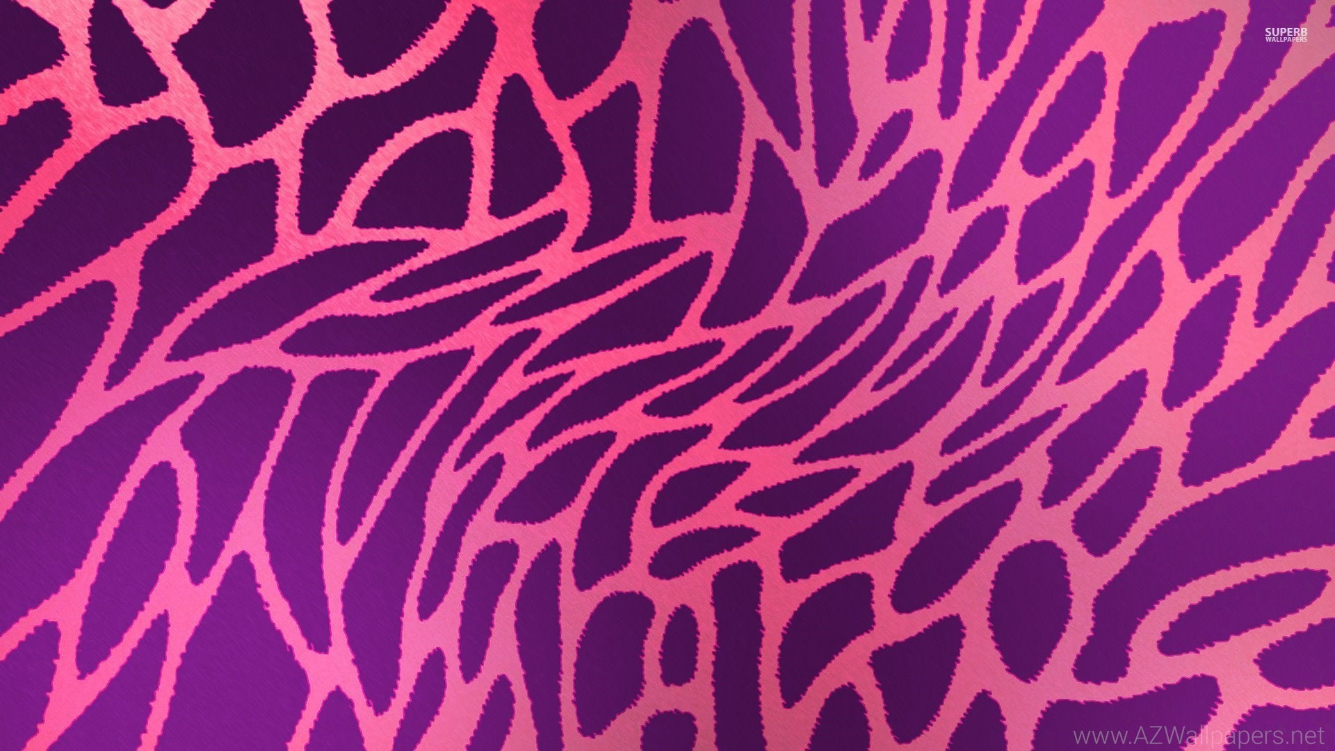 1920x1080  Hot Pink Animal Print Wallpapers Desktop Background