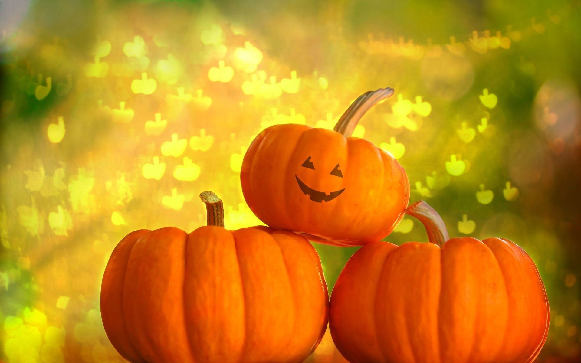 1920x1200 Wallpapers For > Pumpkin Background Hd