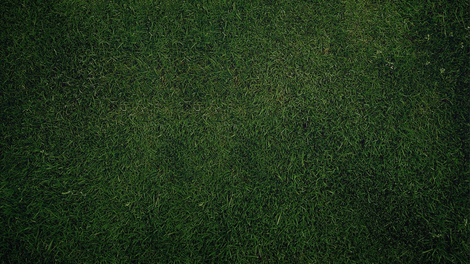 1920x1080  Green Grass Background. How to set wallpaper on your desktop?  Click the download link from above and set the wallpaper on the desktop  from your ...
