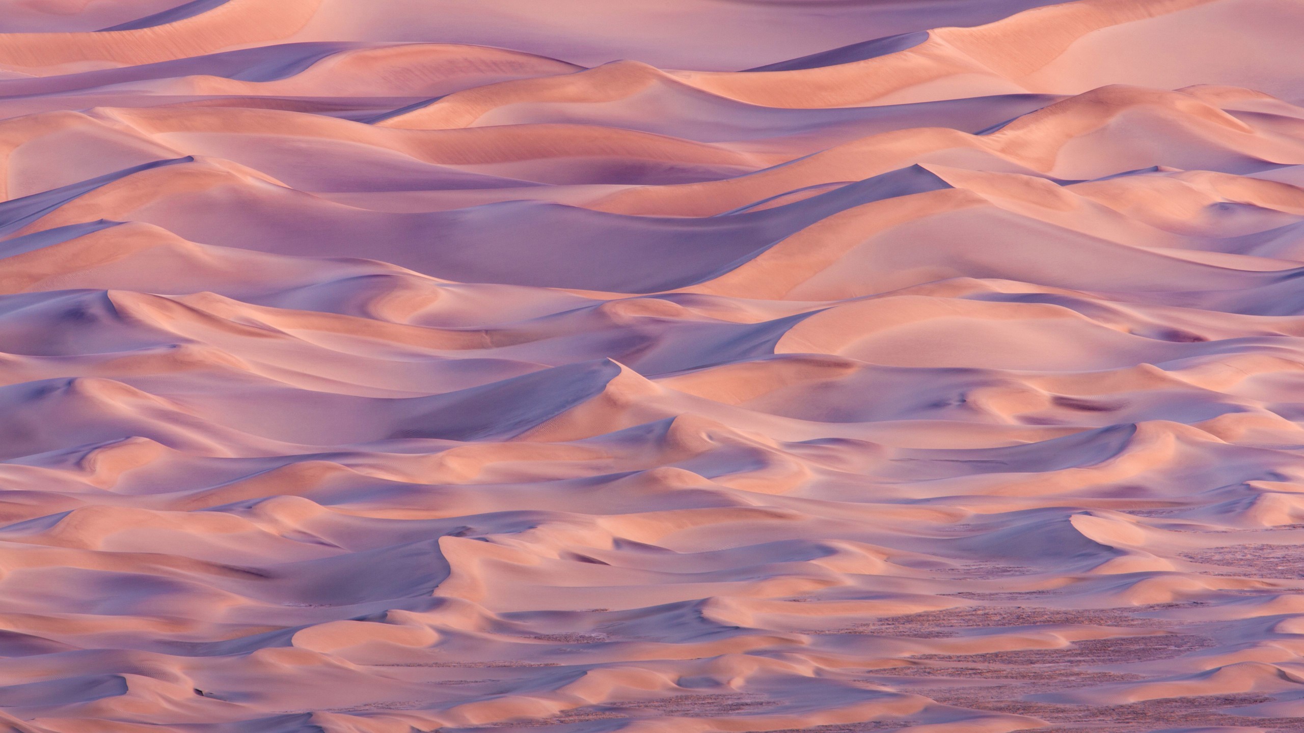 2560x1440 Nature / Death Valley Wallpaper