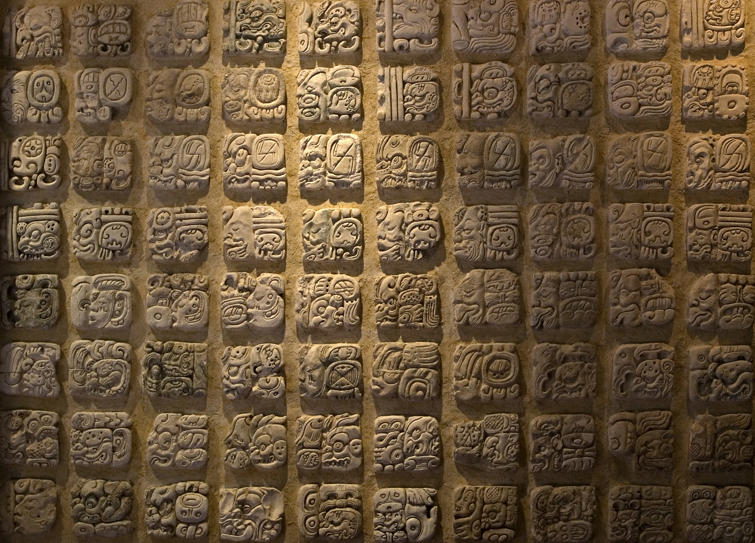 Иероглифическая письменность Майя
