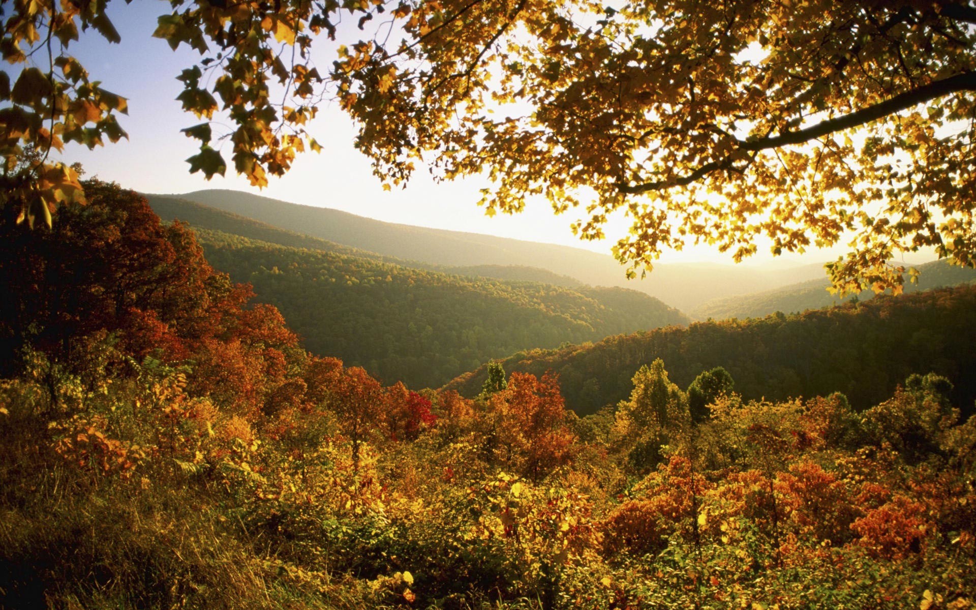 1920x1200 Extends along and encompasses part of the Blue Ridge Mountains, Shenandoah  National Park is a well-known attraction in the U. state of Virginia.