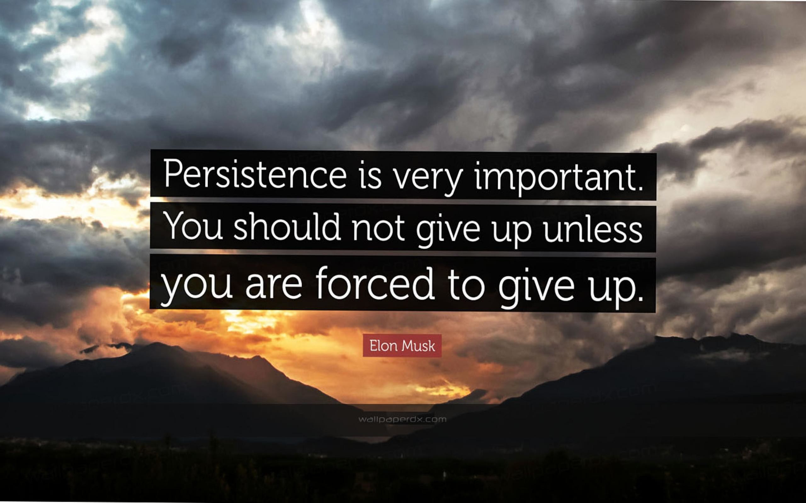 2560x1600 2320 elon musk quote persistence is very important you should not give hd  wallpaper - 2560 x 1600
