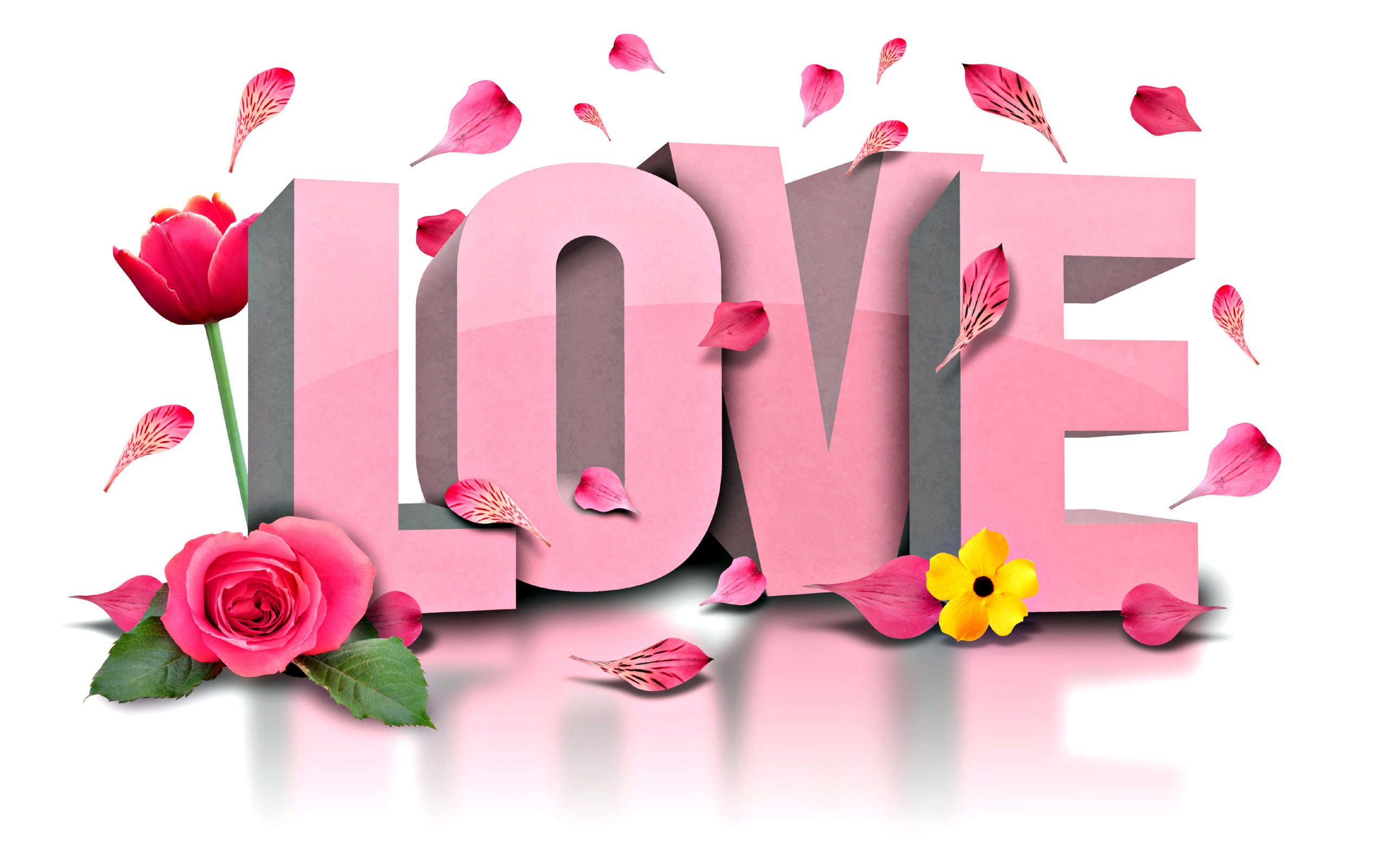 2560x1600 Holiday - Valentine's Day Holiday Love Word Flower Rose Tulip Petal Pink  Wallpaper