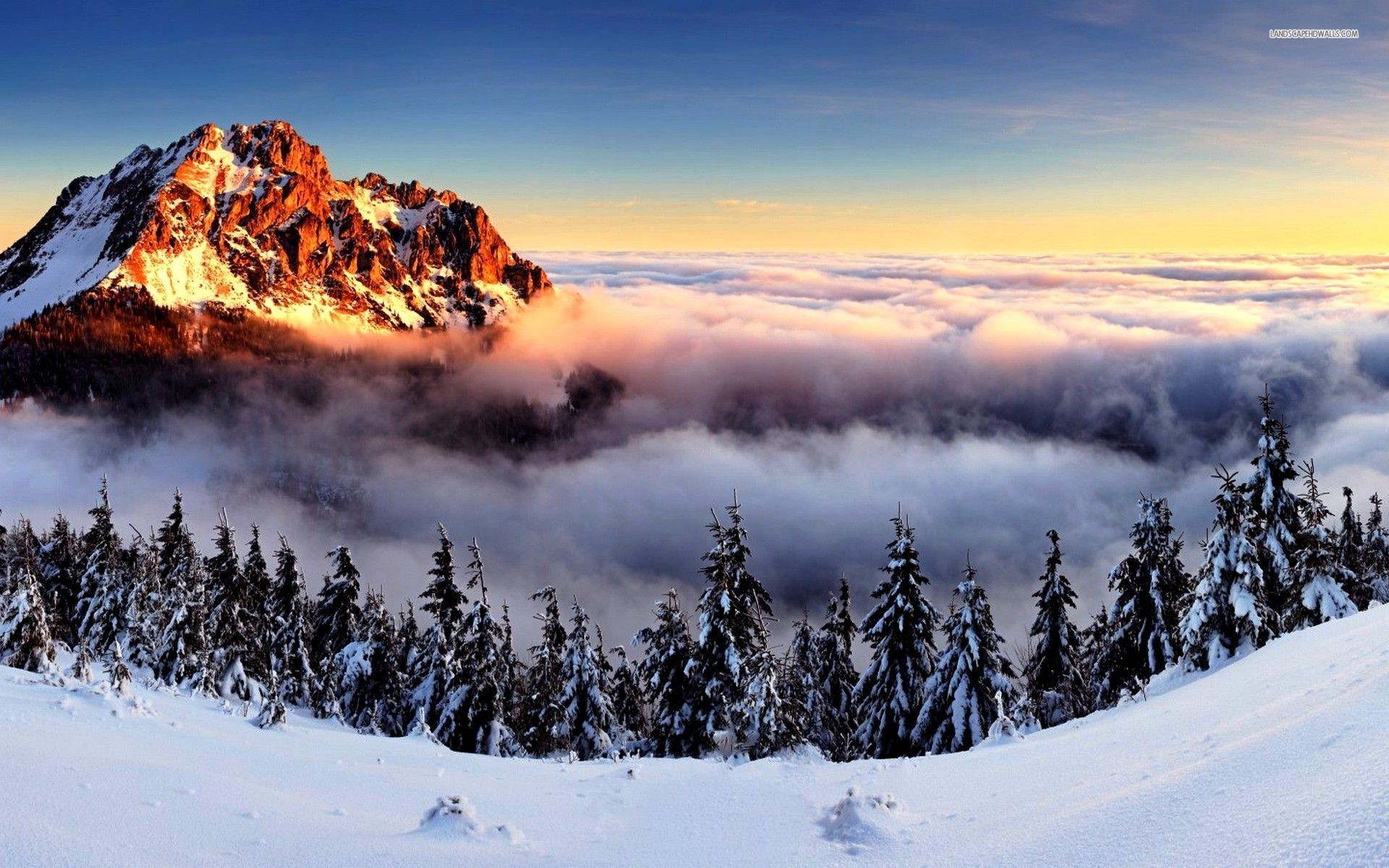 1920x1200 Winter fog in the snowy mountains wallpaper #3124