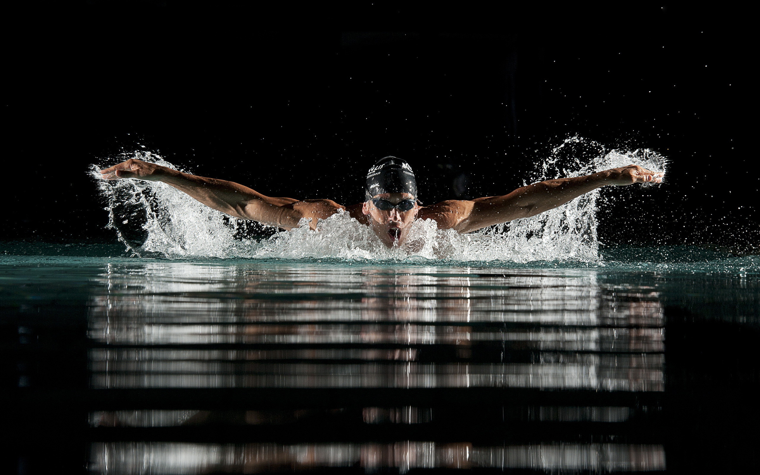 2560x1600 Swimming HD Wallpaper | Background Image |  | ID:312376 - Wallpaper  Abyss