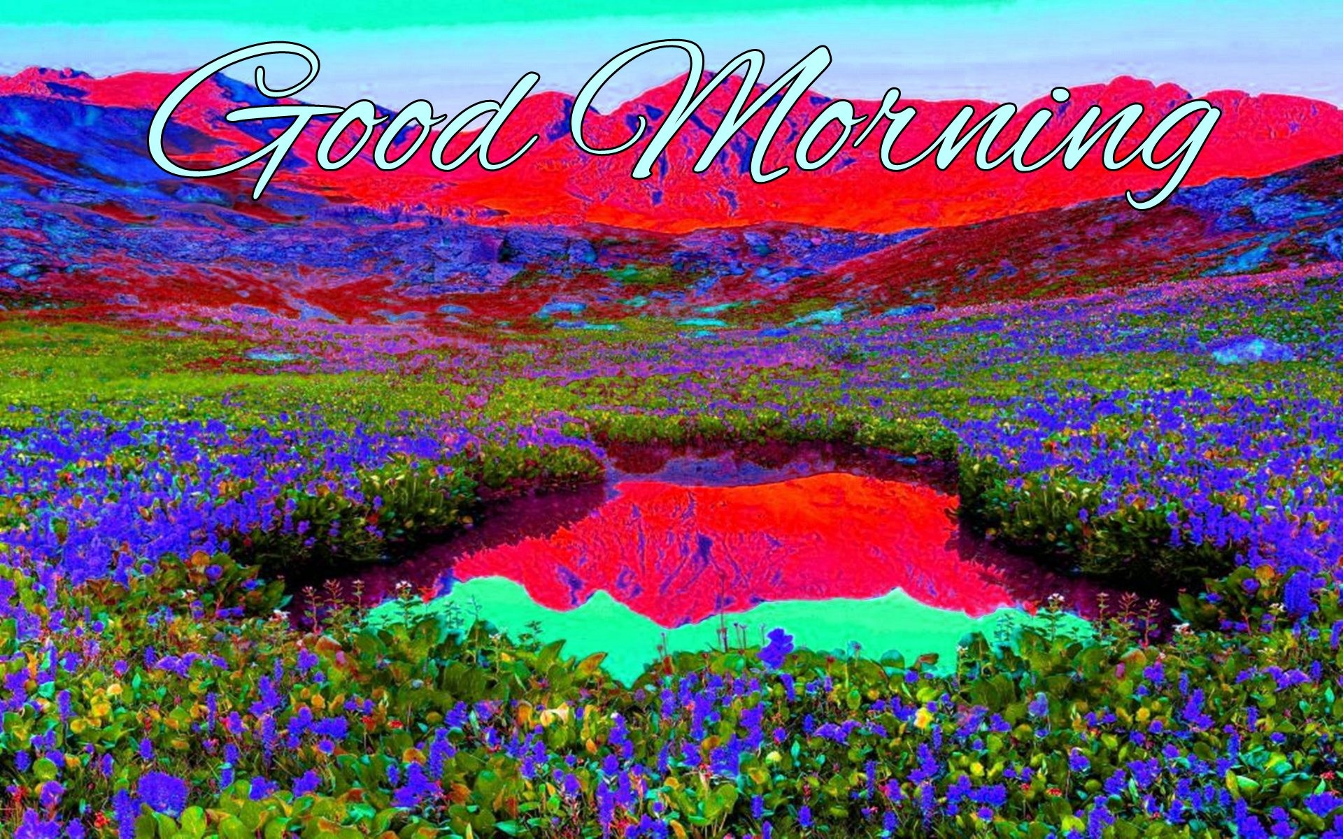 1920x1200 Good Morning - Colorful Nature-wg16163