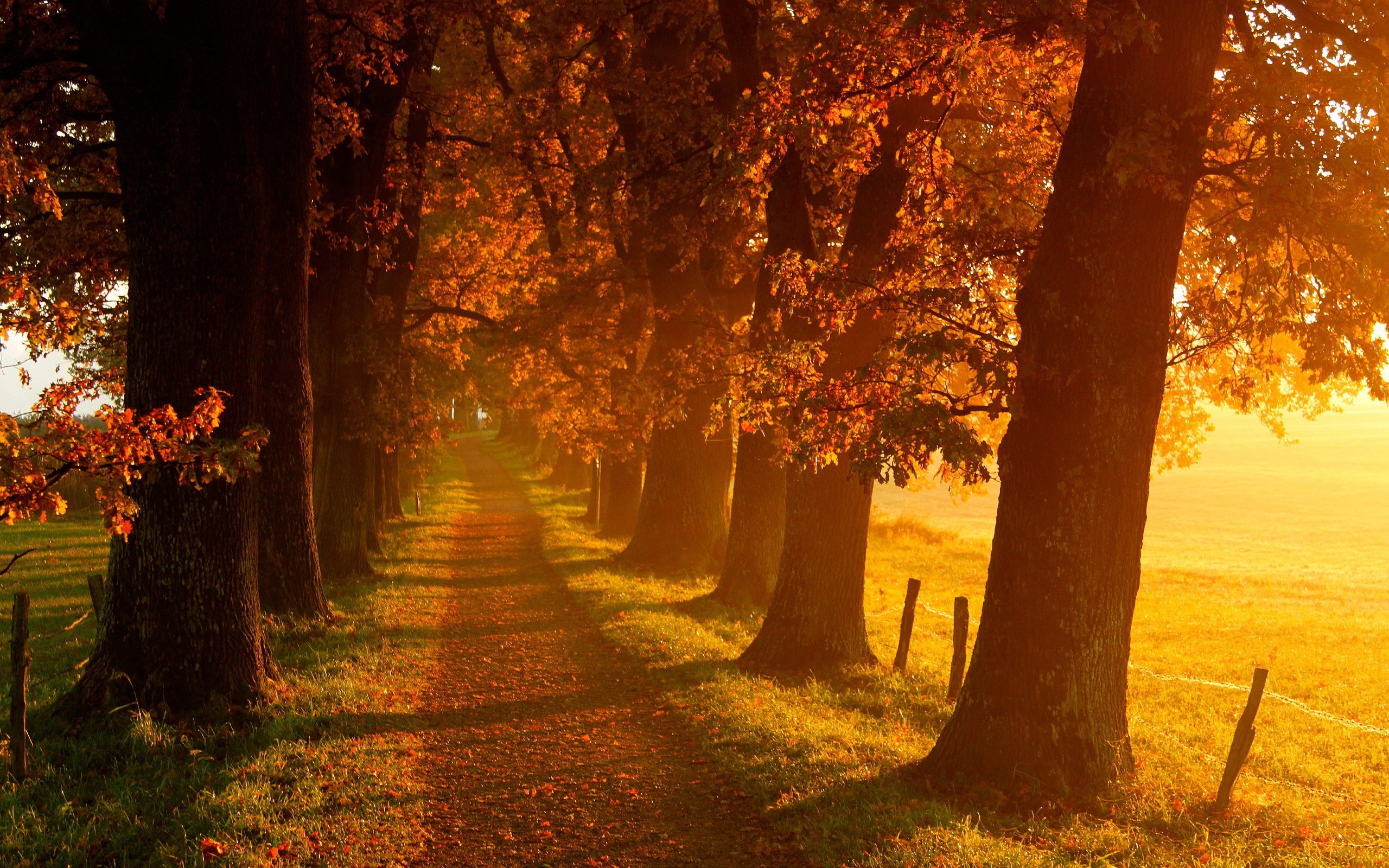 2560x1600 Kerr Turner - Free Awesome autumn scenery wallpaper - 2560 x 1600 px