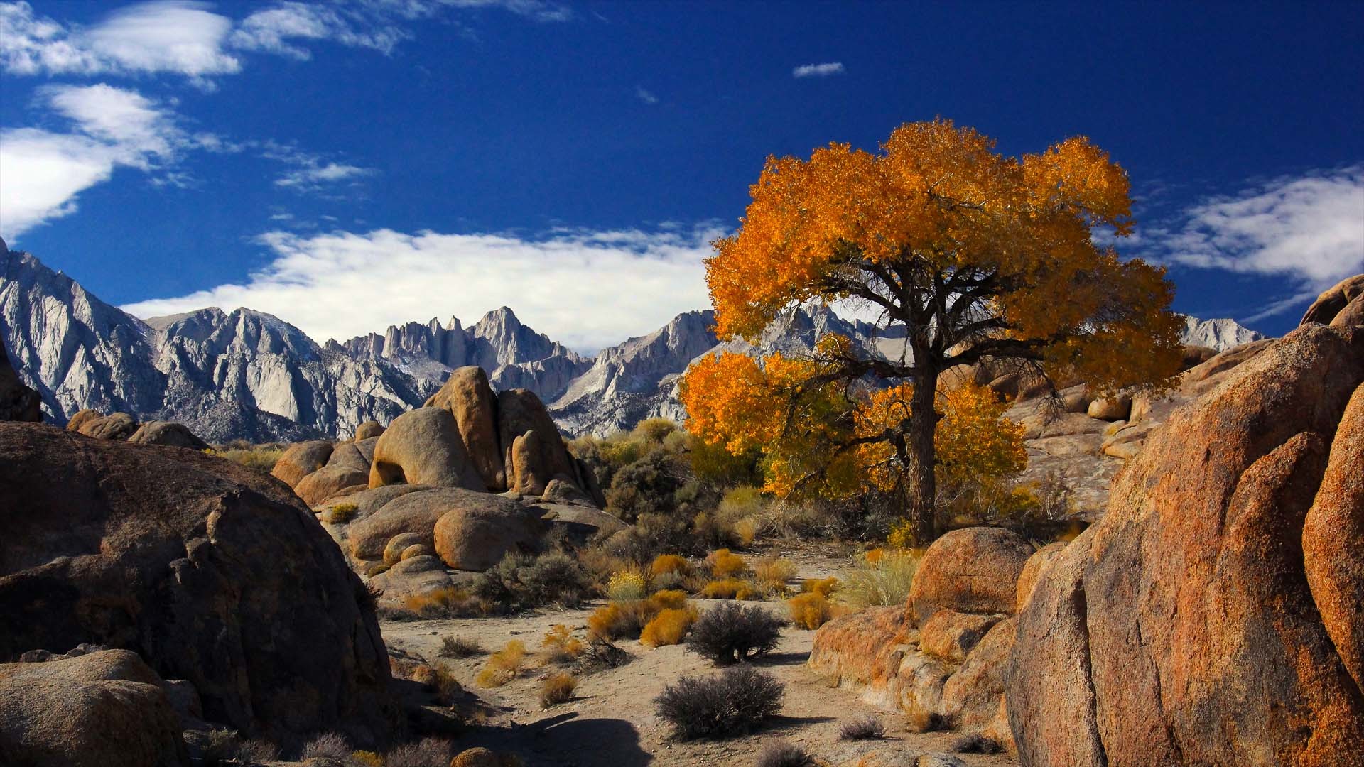 1920x1080 Autumn In Alabama Hills With Mount Whitney The Highest Peak In The United  States And Sierra Nevada California Desktop Hd Wallpaper 1920Ã1080