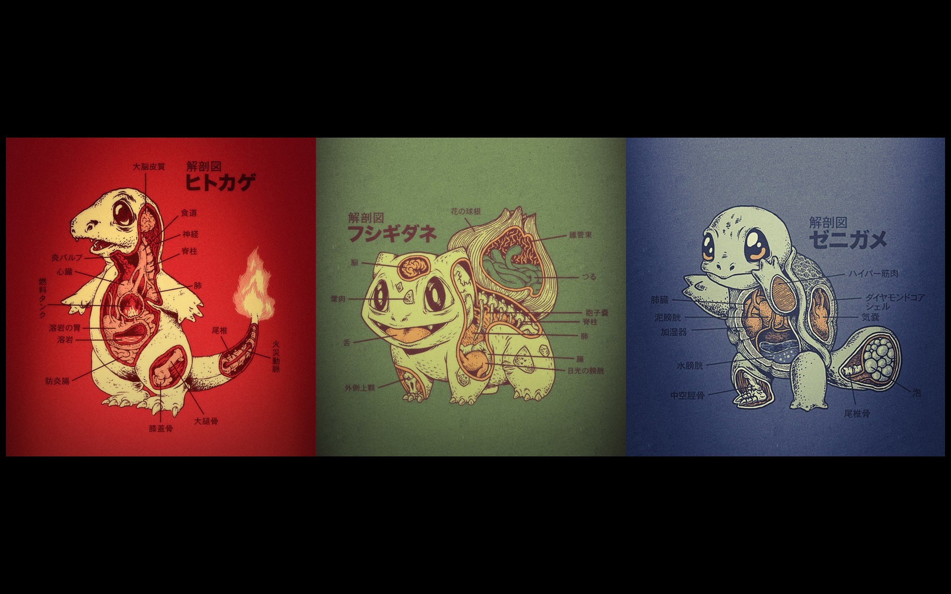 1920x1200 Starter Pokemon Anatomy Wallpaper [] ...